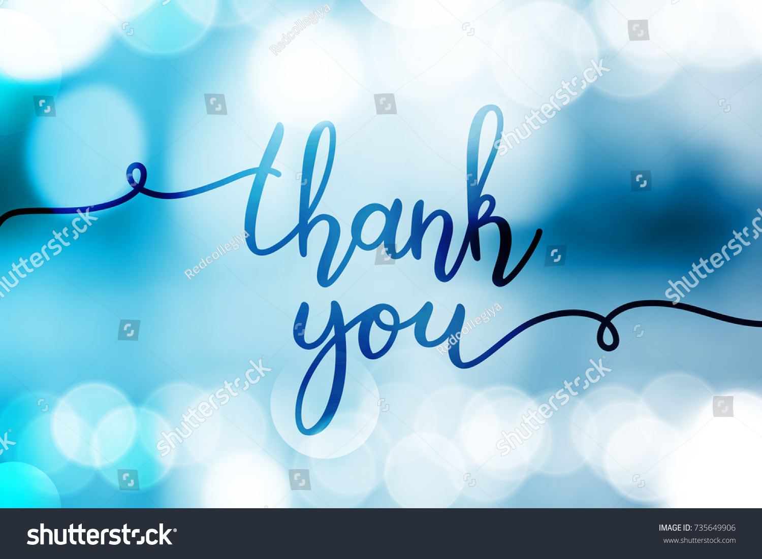 Thank You Vector Lettering On Blurred Stock Vector Royalty Free 735649906 Shutterstock 2669