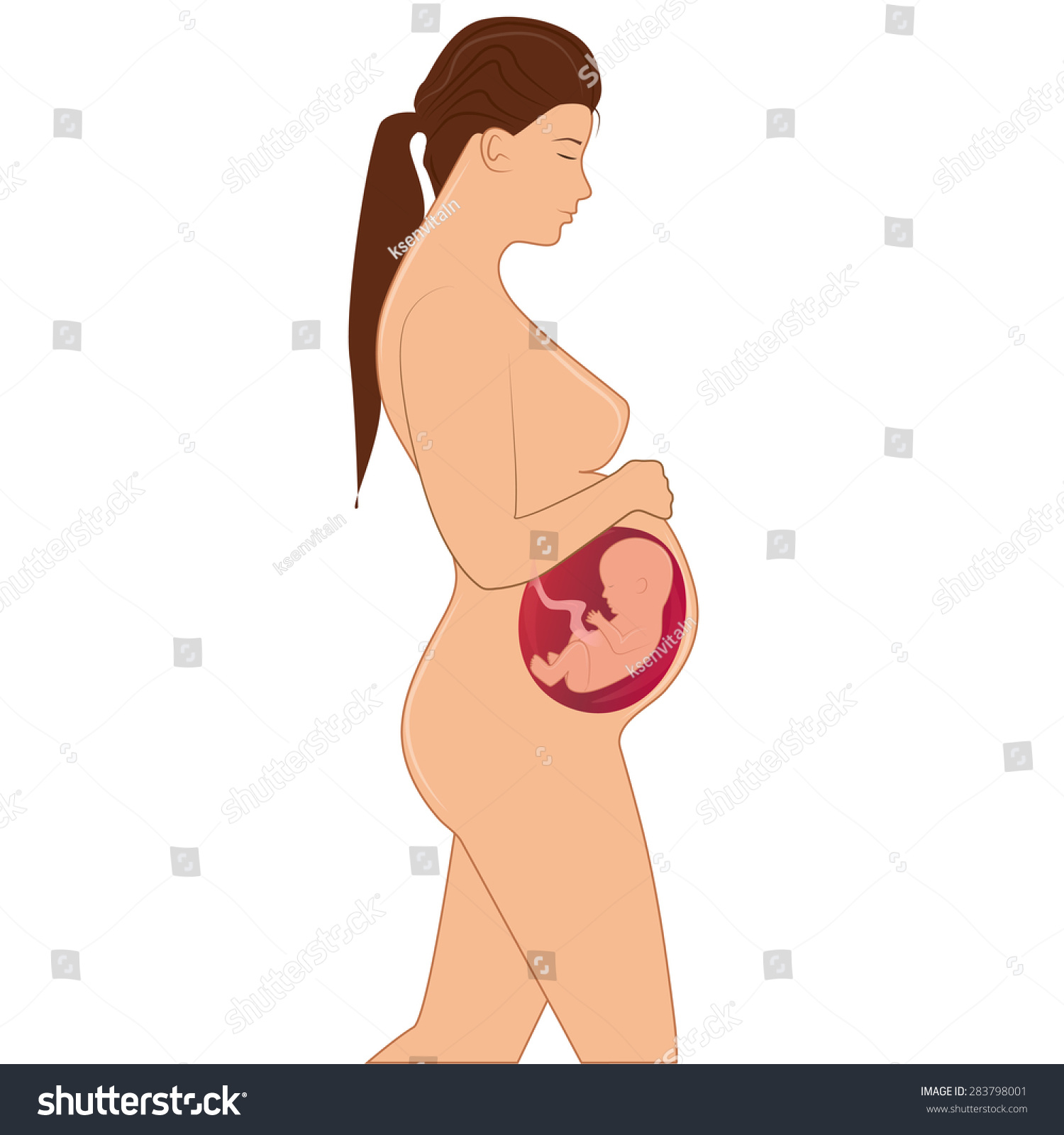 Inside Pregnant Woman 52