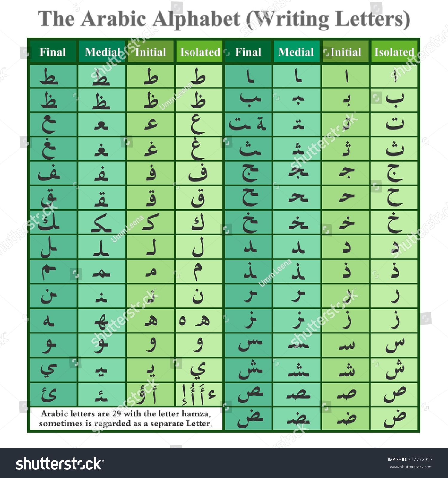 Arabic Alphabet Writing Letters Green Stock Vector (Royalty Free