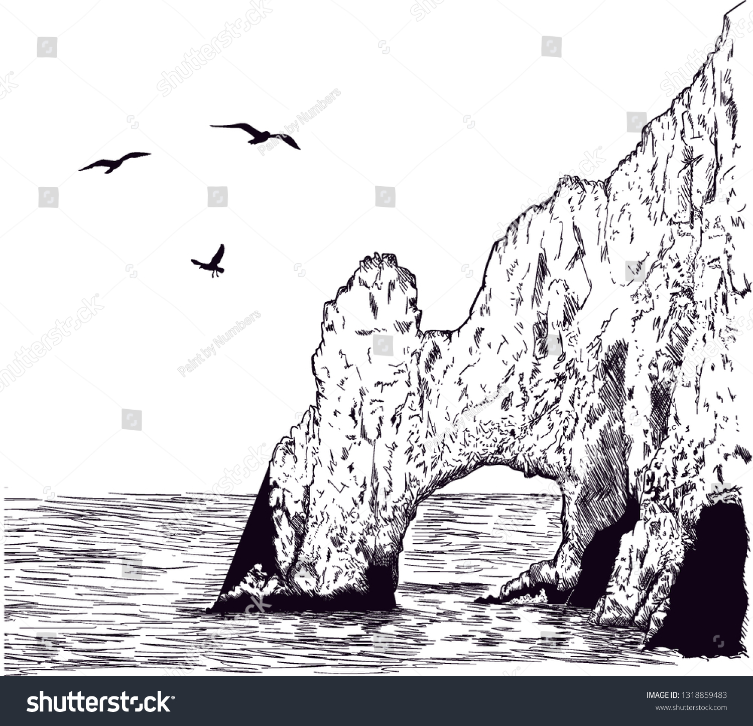 45,933 El arco los cabos Stock Vectors, Images & Vector Art | Shutterstock