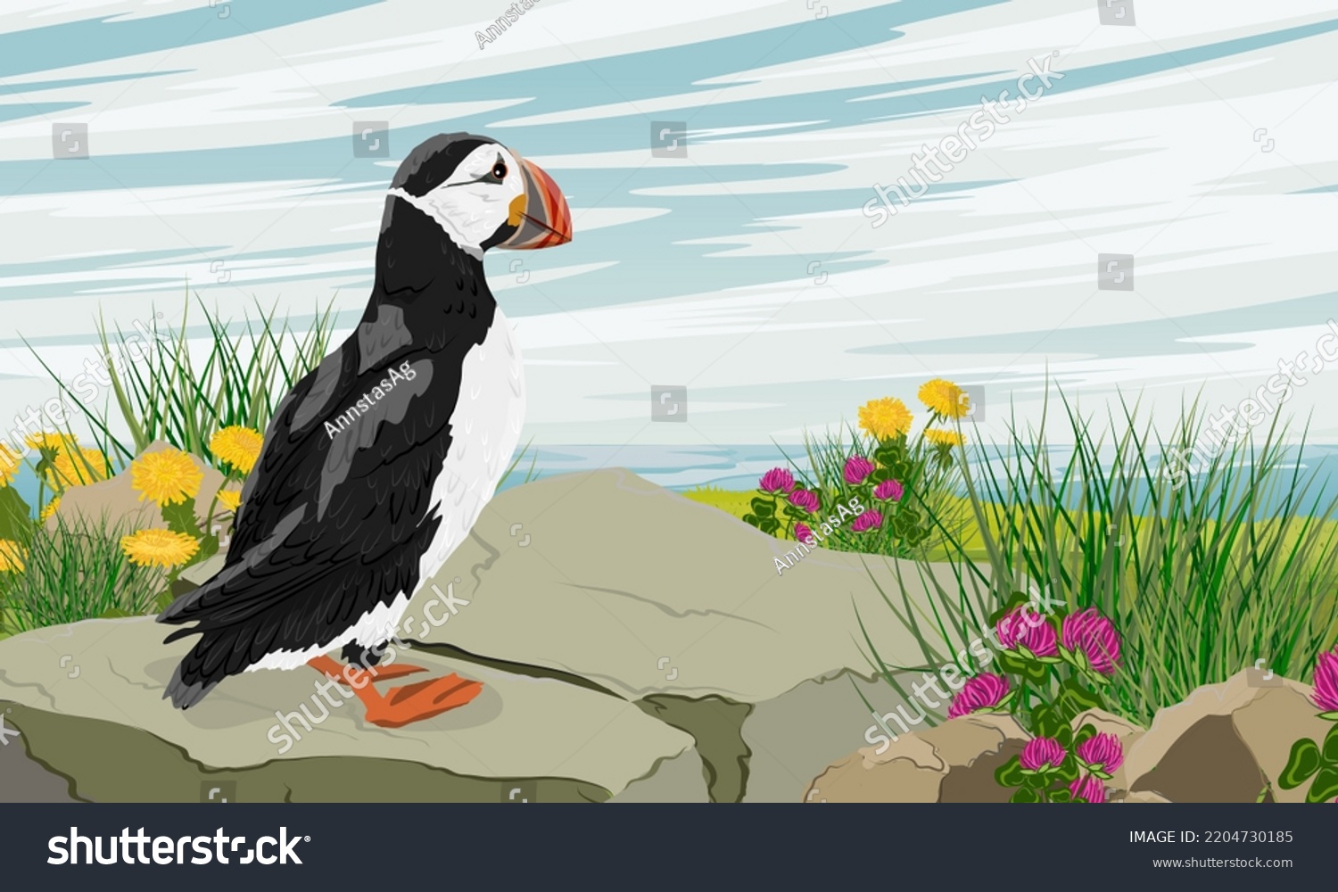 SVG of The Atlantic puffin looks out over the ocean from a large rock on a blooming summer shore. Scandinavian bird Fratercula arctica or common puffin. Realistic vector landscape svg
