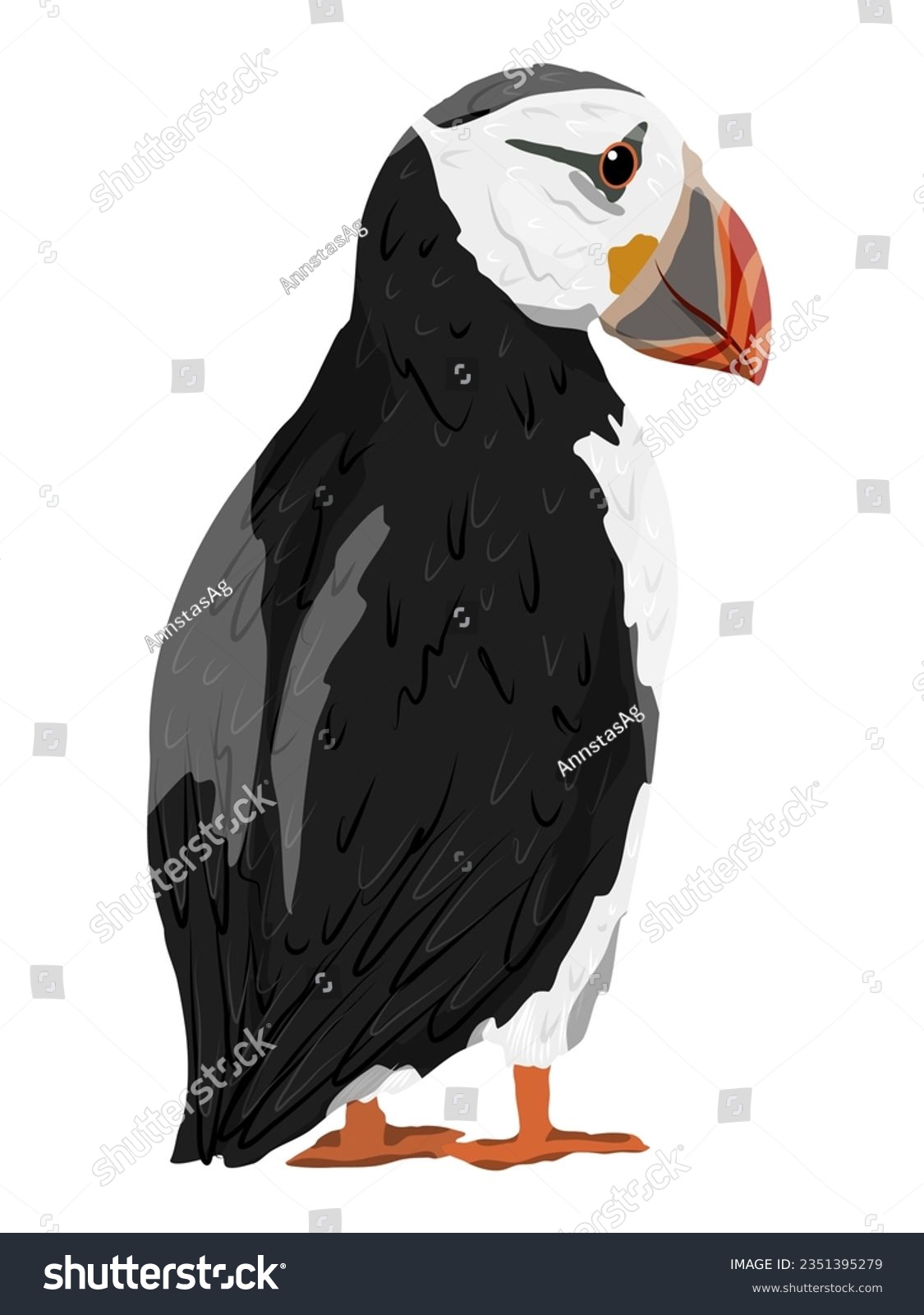 SVG of The Atlantic Puffin. Realistic Fratercula arctica or common puffin birds. Vector birds	 svg