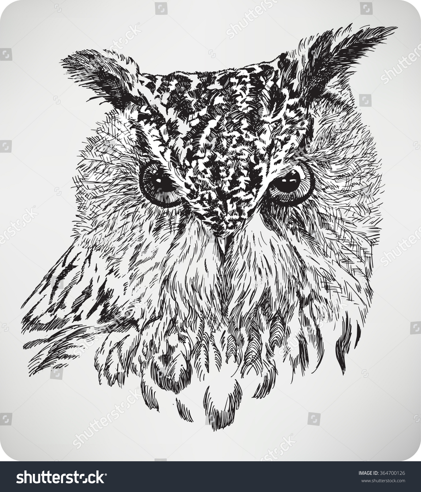 The Bird'S Head Eagle Owl, Hand Drawing, Vector Illustration ...