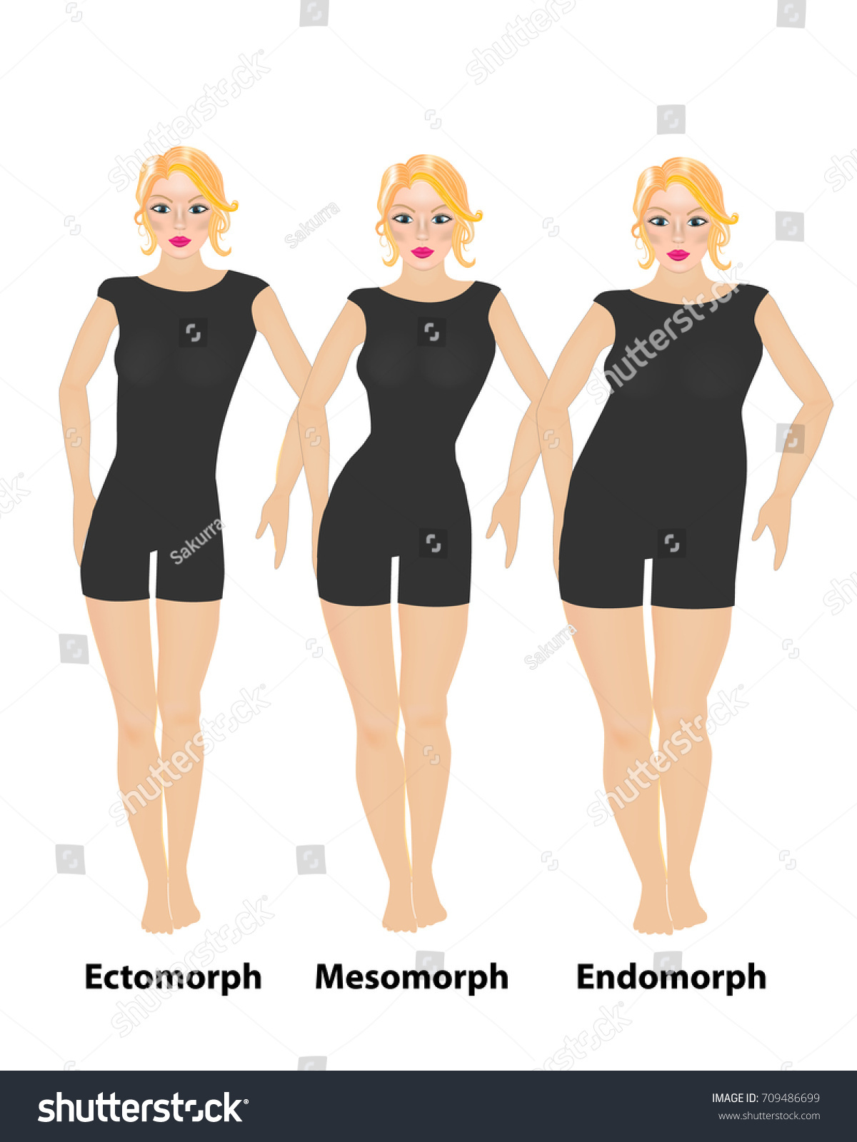 3 Body Types Endomorph Mesomorph Ectomorph: Vetor Stock (livre De ...