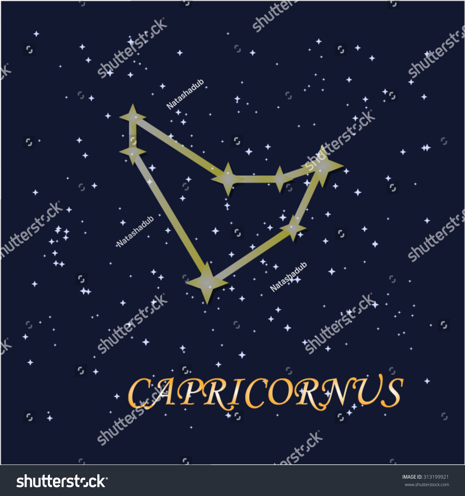 Capricornus Constellation Stock Vector (Royalty Free) 313199921
