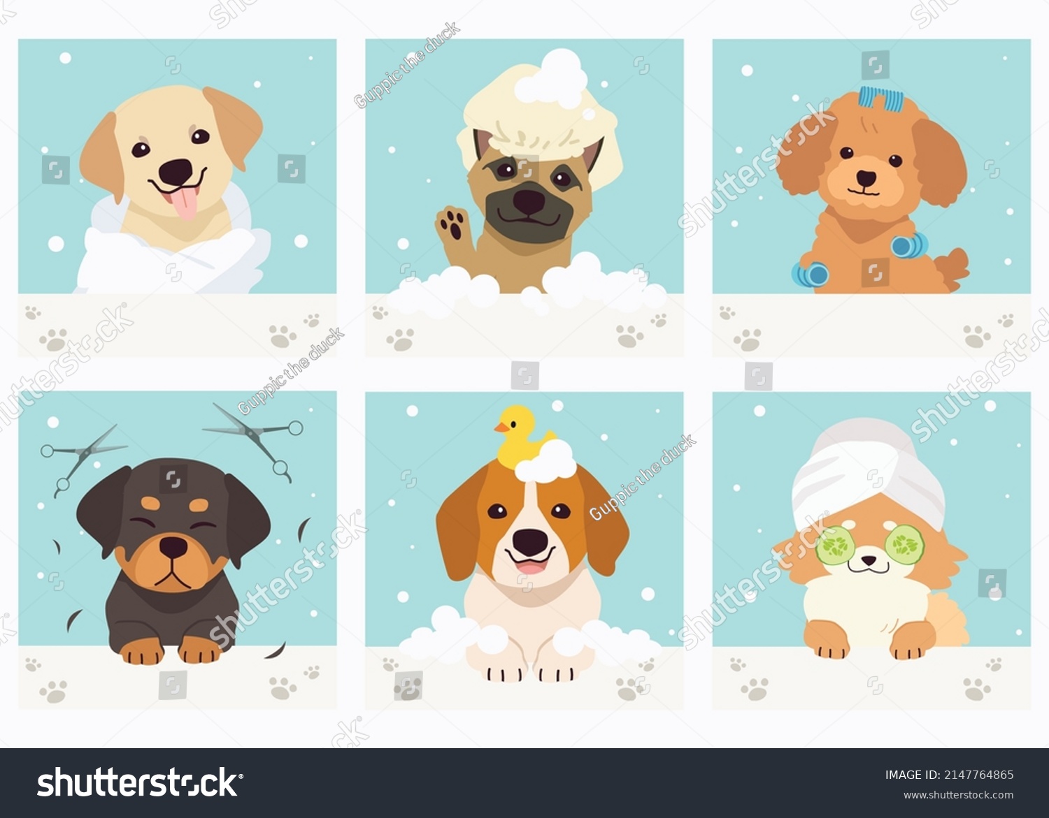 SVG of The collection of cute dog with spa and salon theme in flat vector style. Graphic resource about pet grooming for graphic, content, banner, greeting card. svg