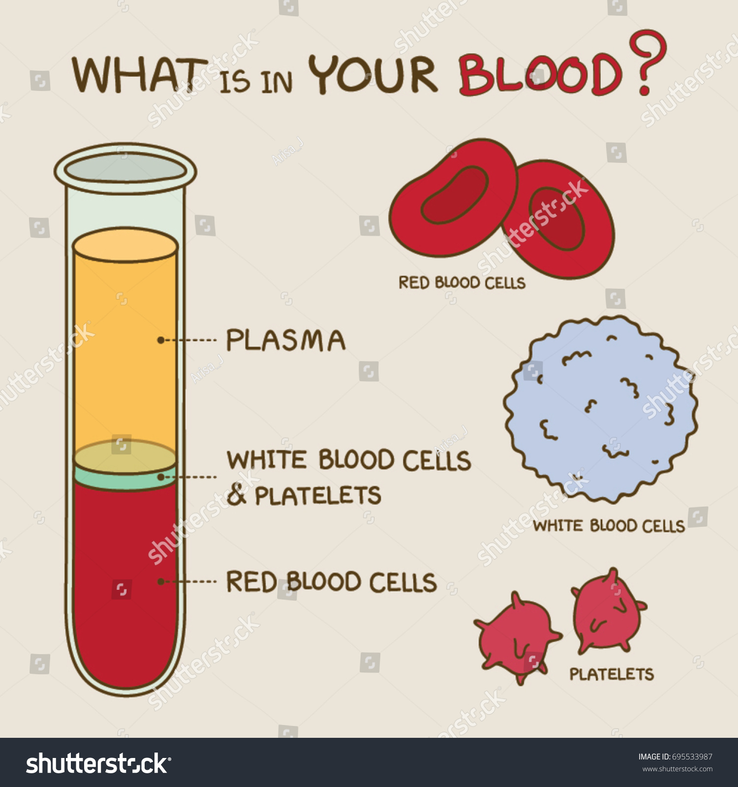 composition-human-blood-blood-components-cartoon-stock-vector-royalty-free-695533987