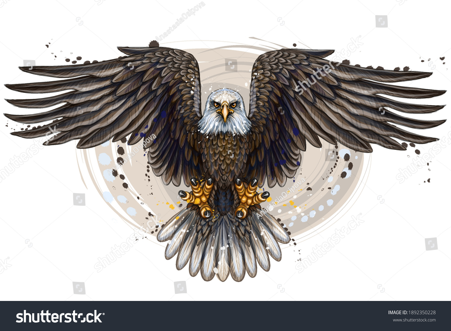 Eagle Flying Bald Eagle Color Realistic Stock Vector Royalty Free 1892350228