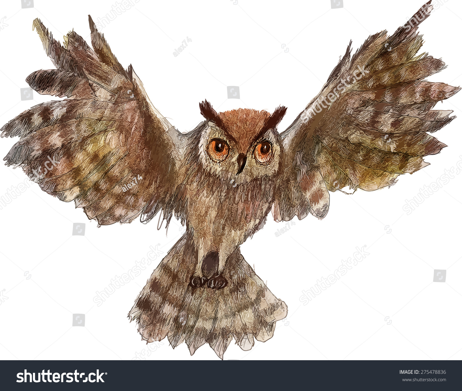 Download Flying Eagle Owl Vector Watercolor Cartoon Stock Vector 275478836 - Shutterstock