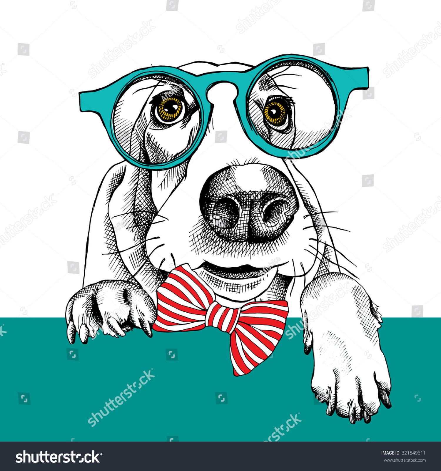 The Image Dog Basset Hound Portrait In The Glasses And With Bow. Vector ...