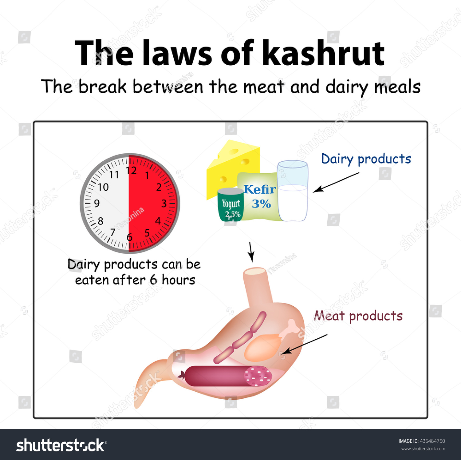 Laws Kosher Break Between Meat Dairy Stock Vector Royalty Free 435484750