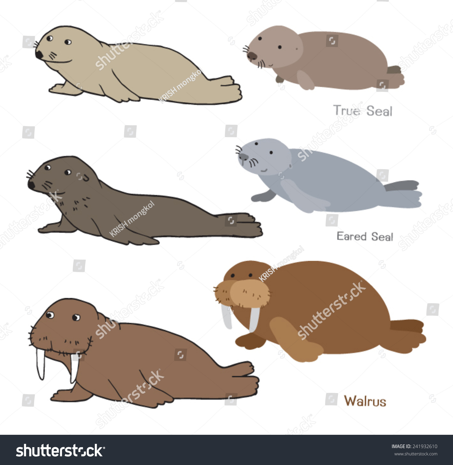 Marine Mammals Called Pinniped Which Seal 库存矢量图 免版税