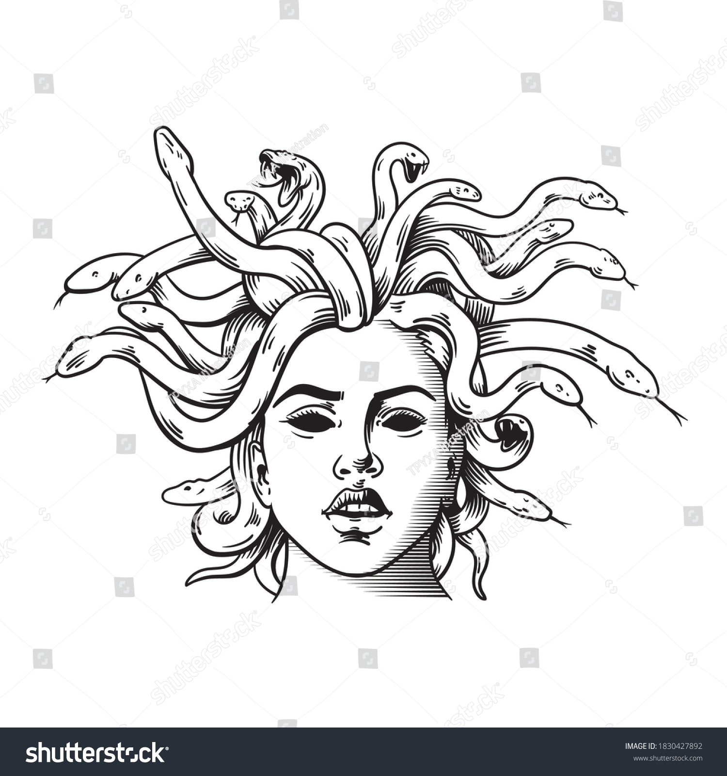 13,400 Medusa art Images, Stock Photos & Vectors | Shutterstock