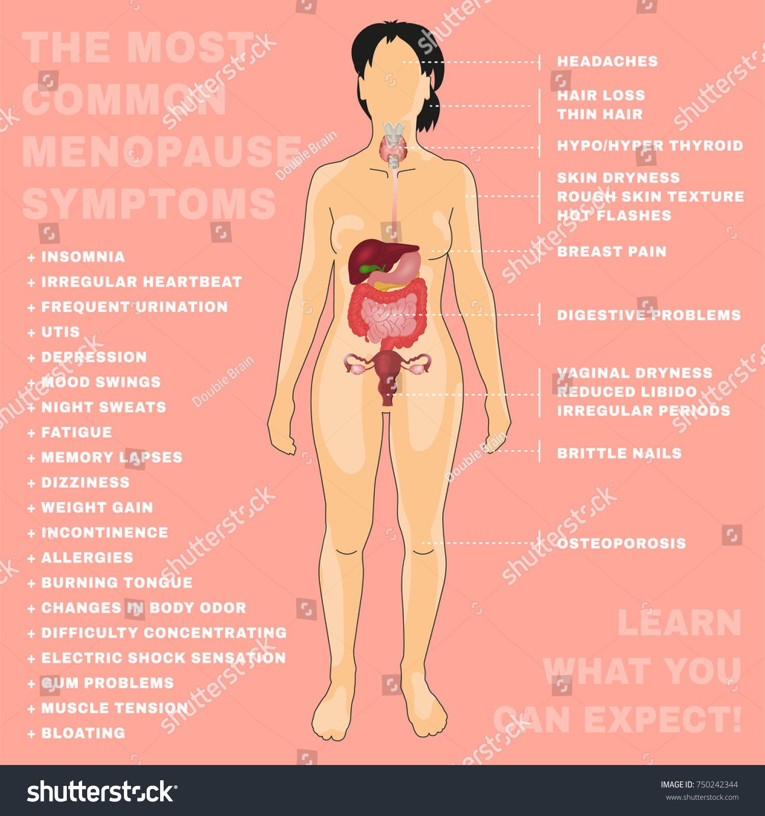 Most Common Menopause Symtoms Menopause Infographic Stock Vector