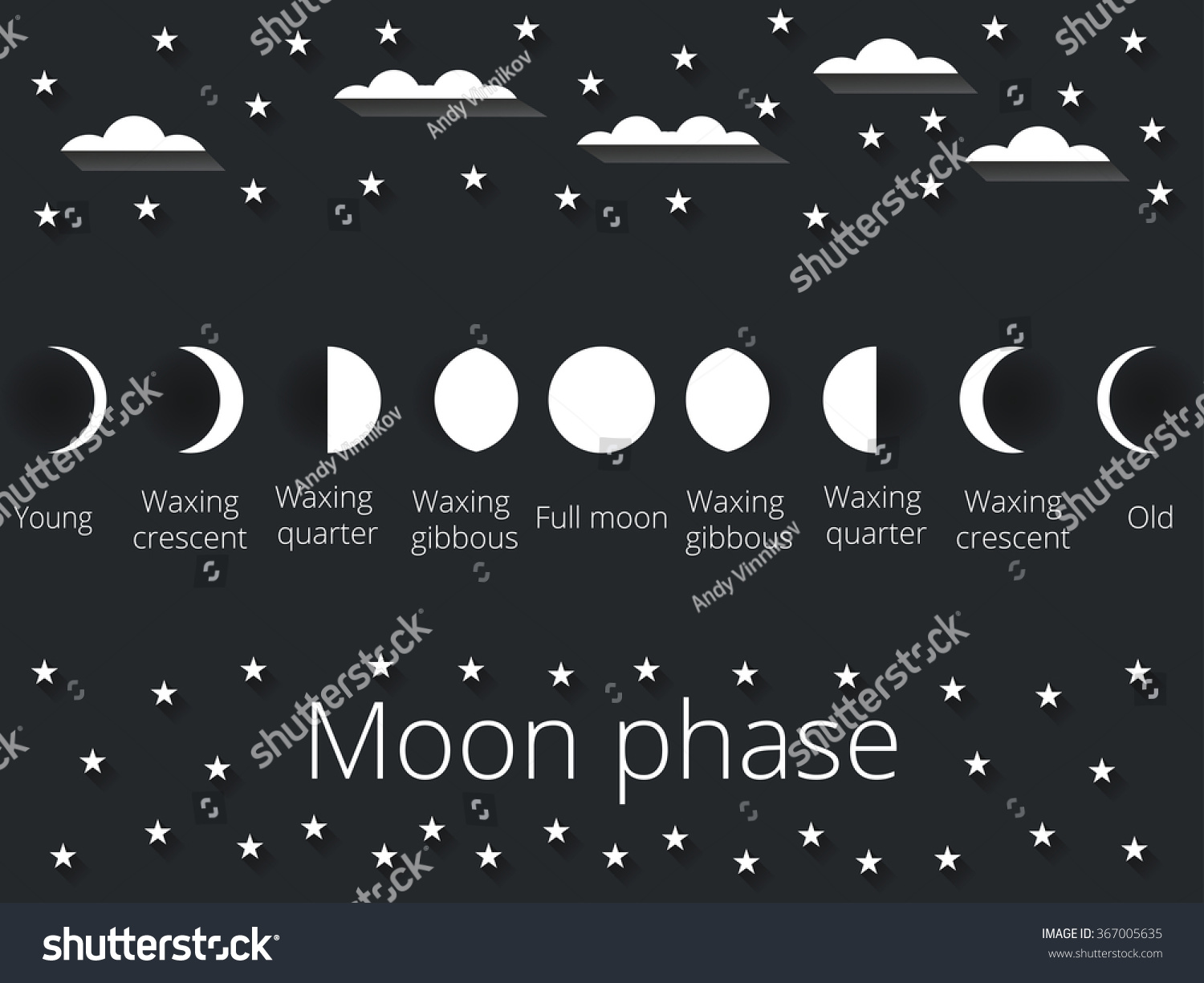 Phases Moon Whole Cycle New Moon Stock Vector Royalty Free 367005635 Phases Moon Whole Cycle New Moon Stock Vector Royalty Free 367005635