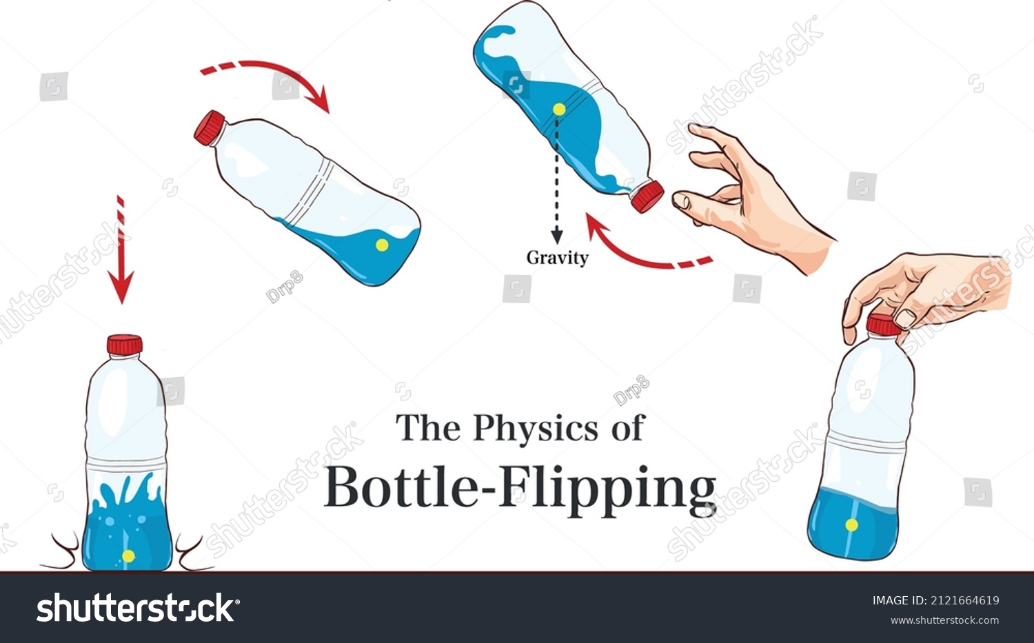 Physics Bottl Flipping Vector Illustration Stock Vector (Royalty Free ...