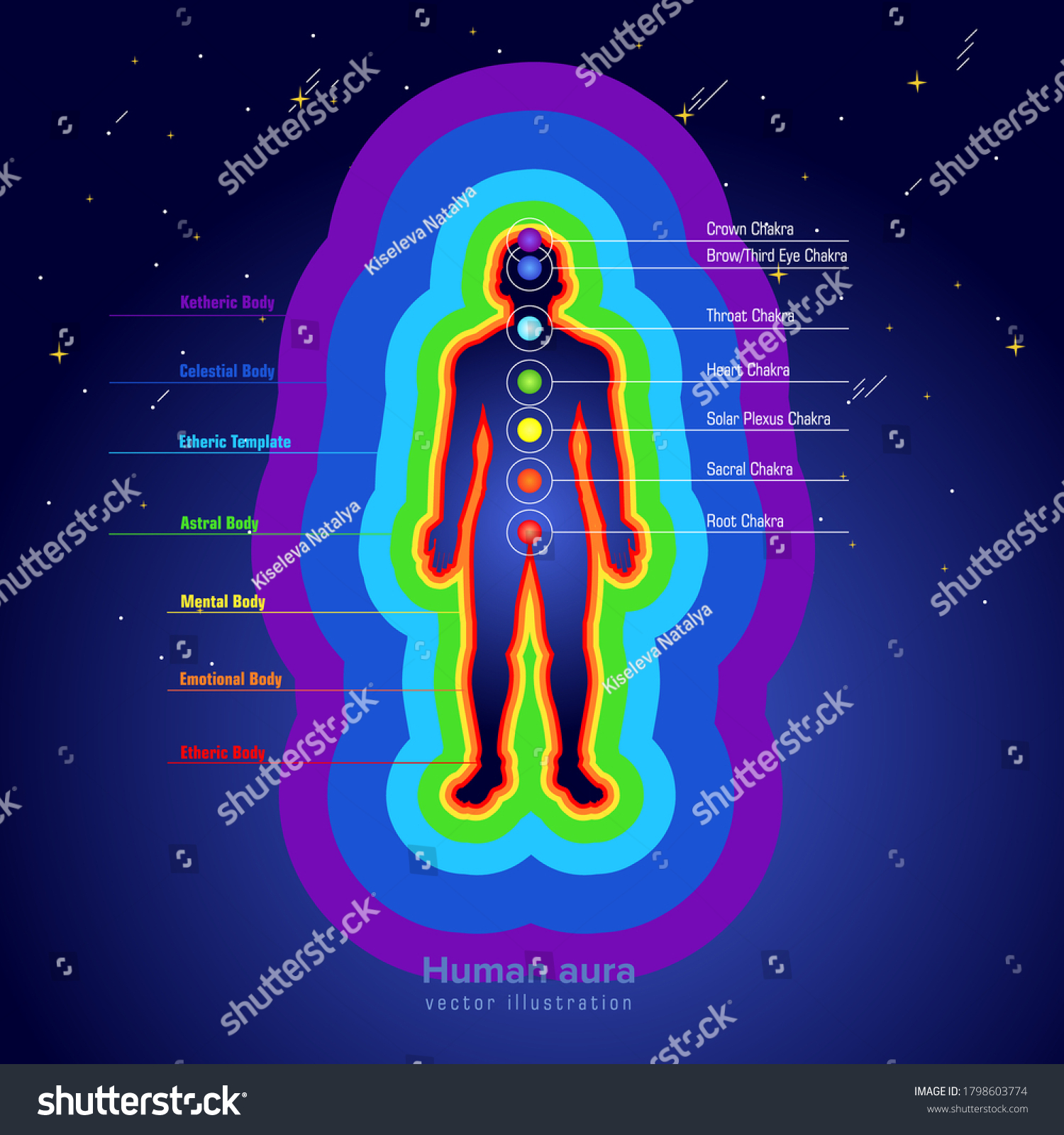 Poster Chakras Man Energy Ranges Body Stock Vector Royalty Free 1798603774