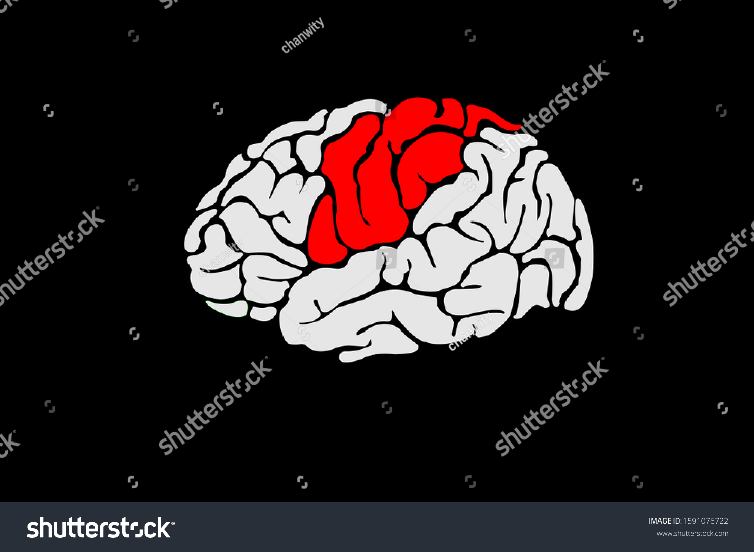 Red Brain Vector Image Middle Brain Stock Vector (Royalty Free) 1591076722