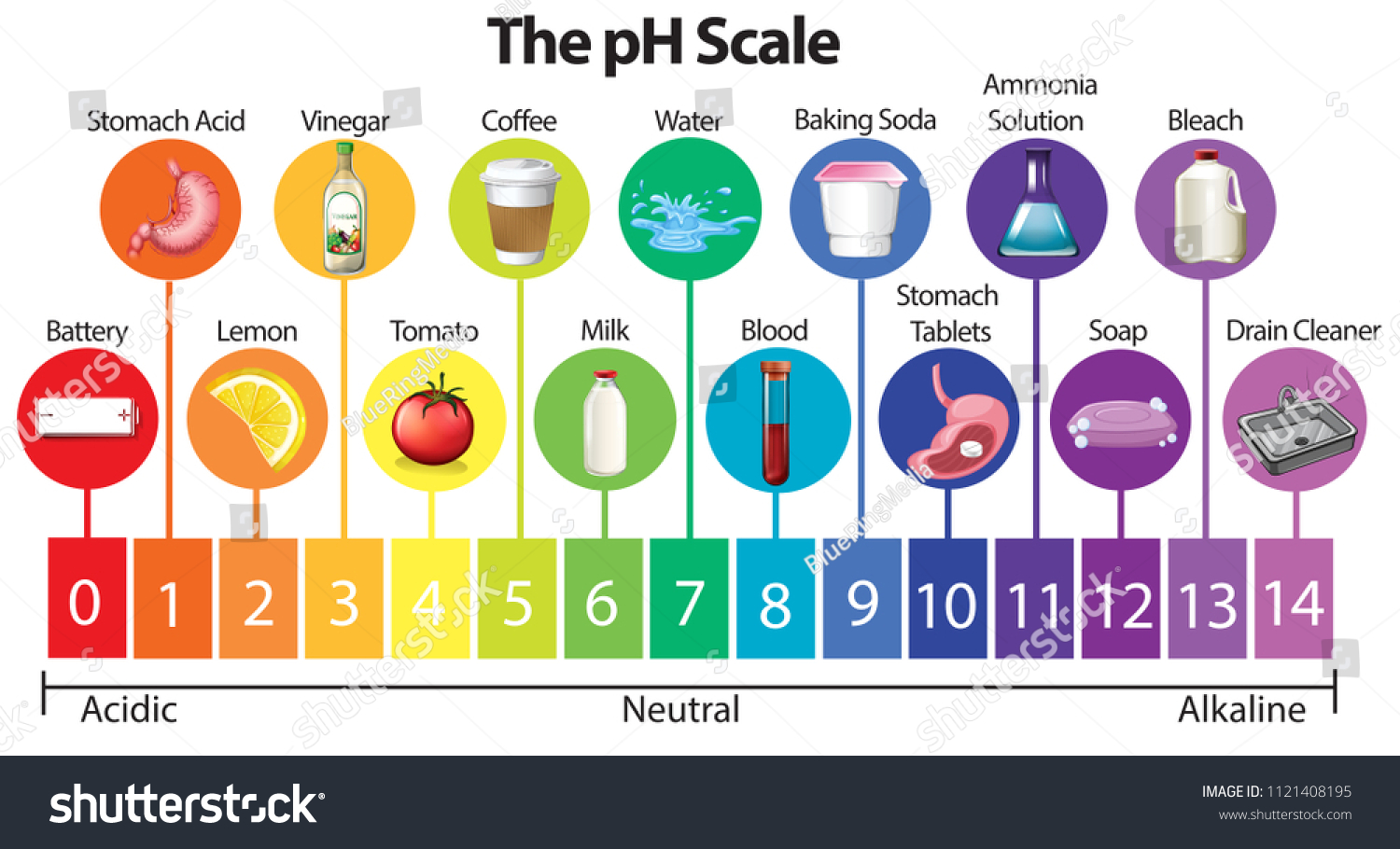 604 Afbeeldingen Voor Ph Scale Chart Afbeeldingen Stockfoto‘s En Vectoren Shutterstock