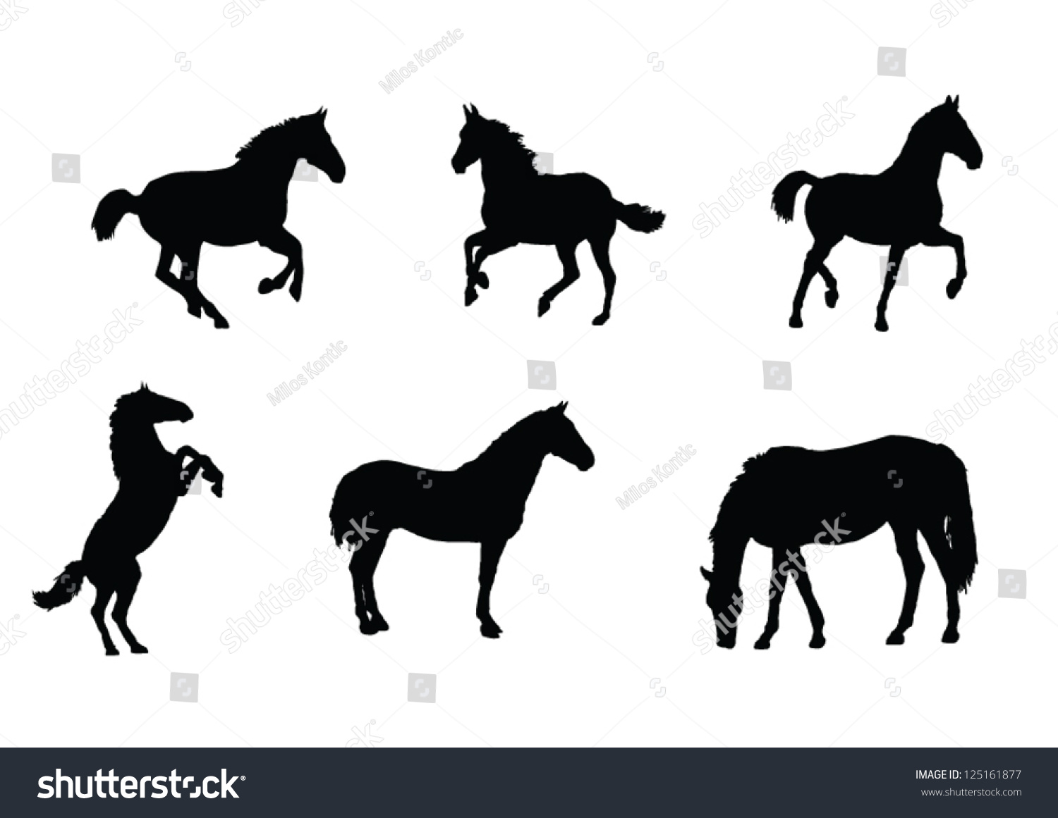 The Set Of Horse Silhouette Stock Vector Illustration 125161877 ...