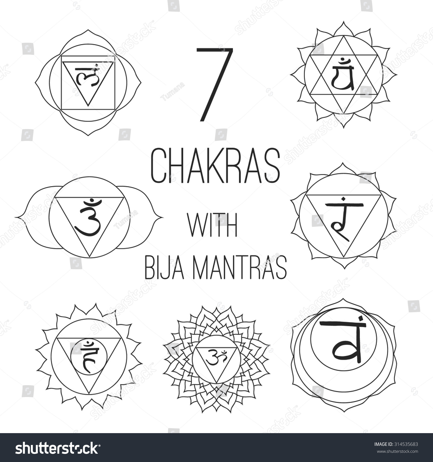 Seven Chakras Bija Mantras Vector Set Stock Vector 314535683 - Shutterstock