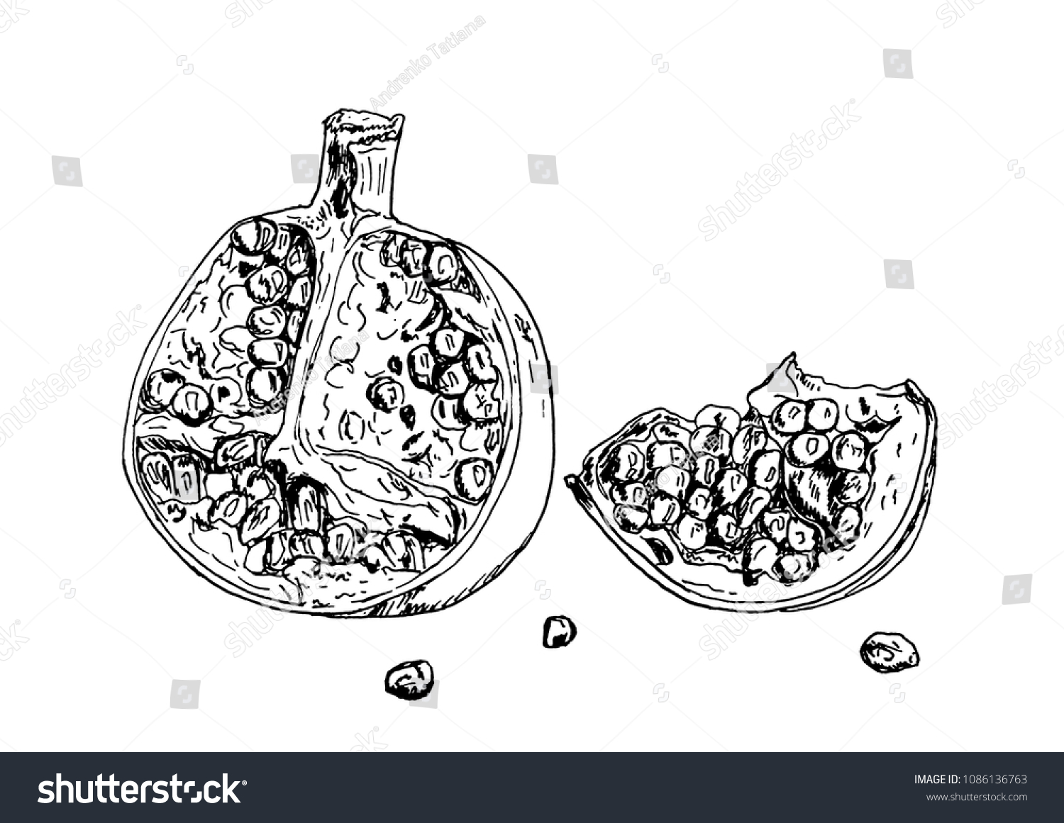 Sketch Beautiful Juicy Sweet Pomegranate Broken Stock Vector Royalty Free Sketch Beautiful Juicy Sweet Pomegranate Broken Stock Vector Royalty Free