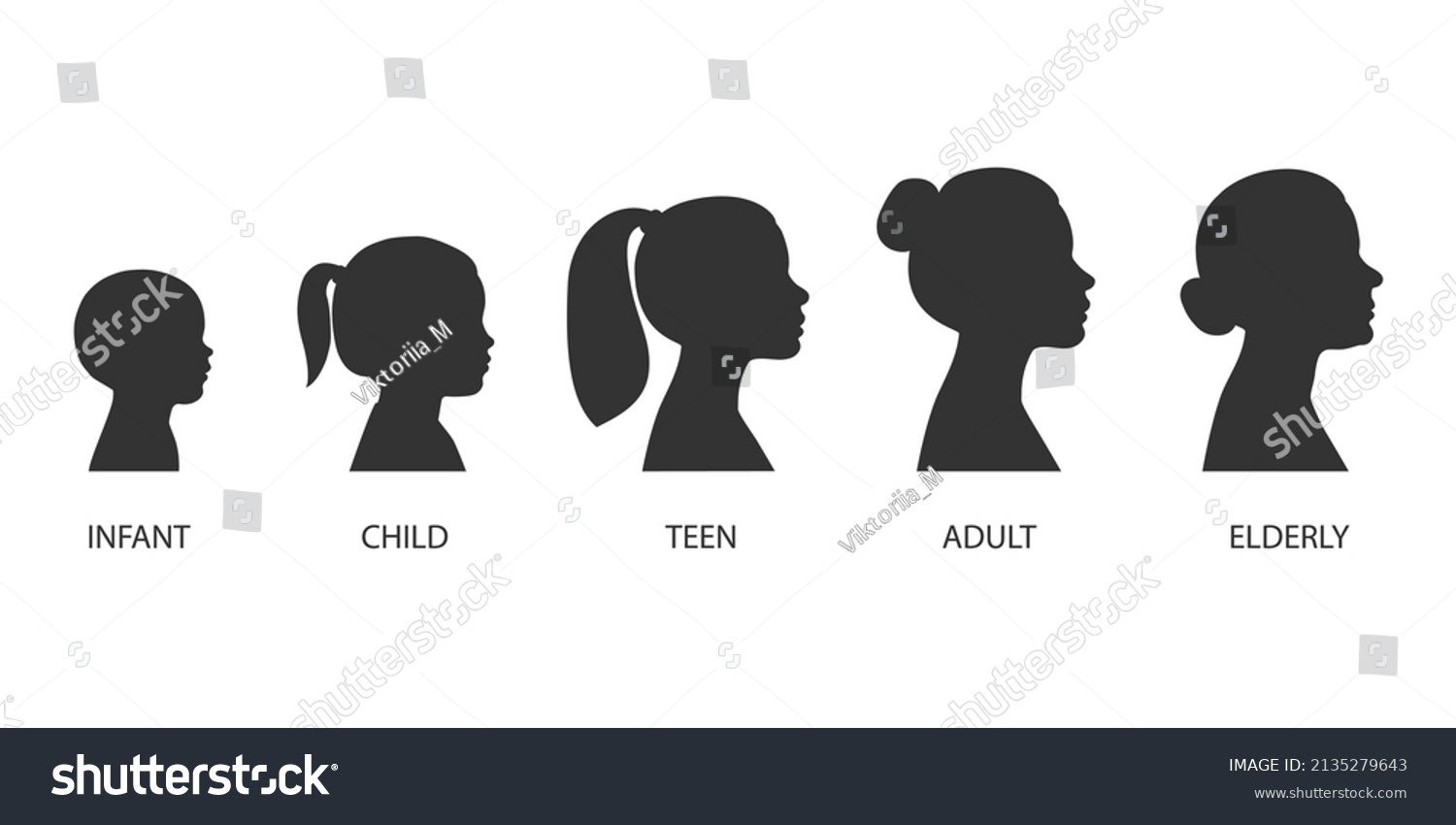 SVG of The stages of a woman's growing up - infant, child, teen, adult, elderly. Collection of silhouettes of women of different ages. Vector illustration isolated on white background svg