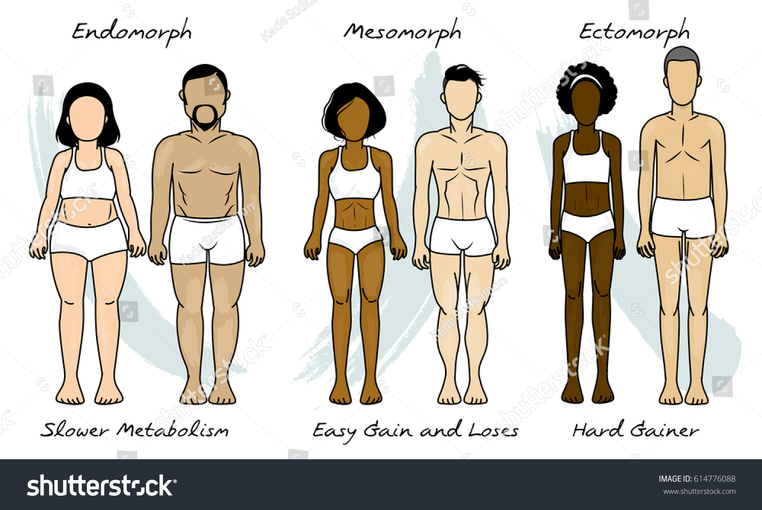 Opinion vavavoom types body mesomorph endomorph bodycon on dress different ectomorph usa online