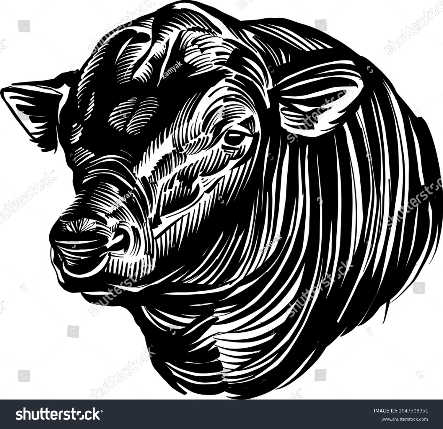 SVG of the vector illustration sketch of the bull head Angus svg