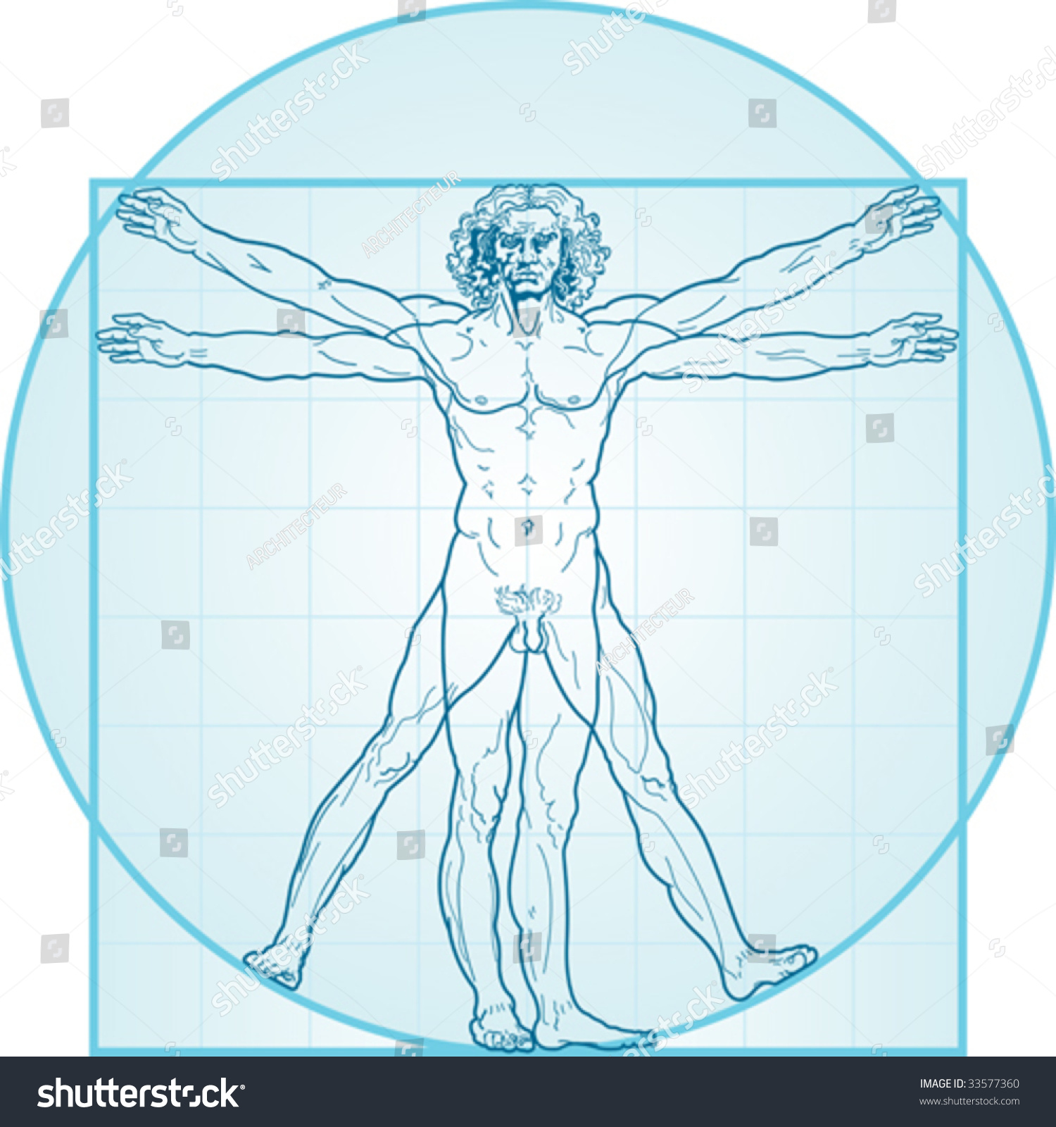 Vitruvian Man Called Leonardo Da Vinci Stock Vector Royalty Free