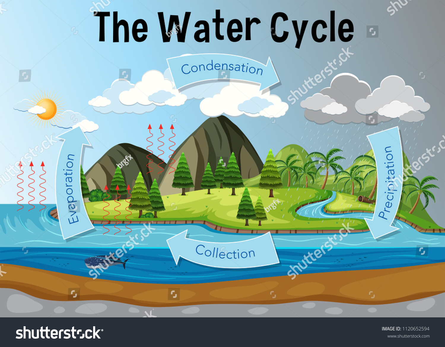 5-285-water-cycle-images-images-stock-photos-vectors-shutterstock