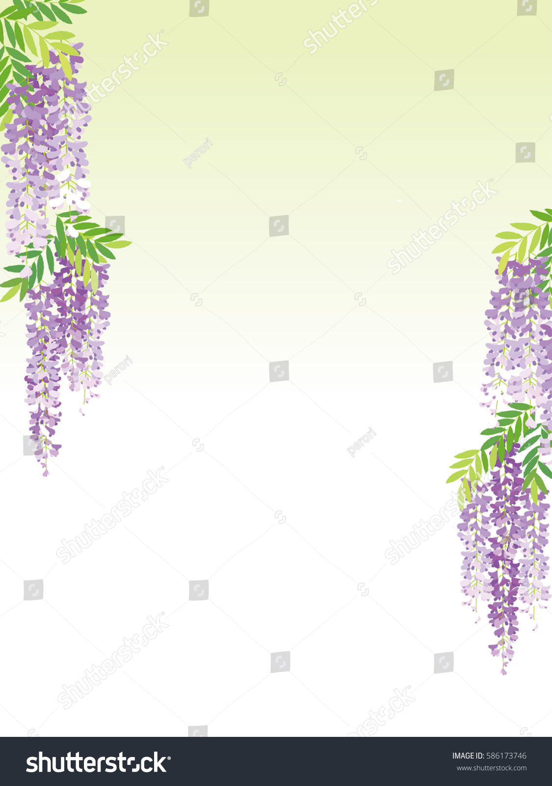 Wisteria Flower Vine Background Stock Vector (Royalty Free) 586173746