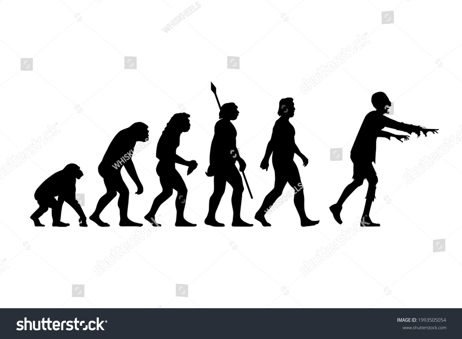 Theory Evolution Man Silhouette Ape Zombie Stock Vector (Royalty Free ...