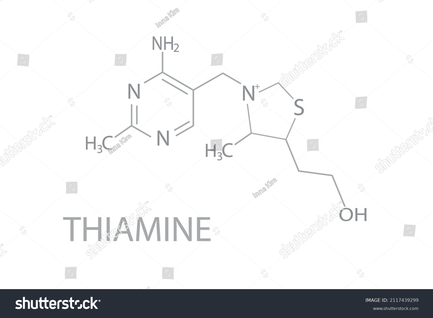 Thiamine Chemical Molecular Skeletal Formula Vector Stock Vector