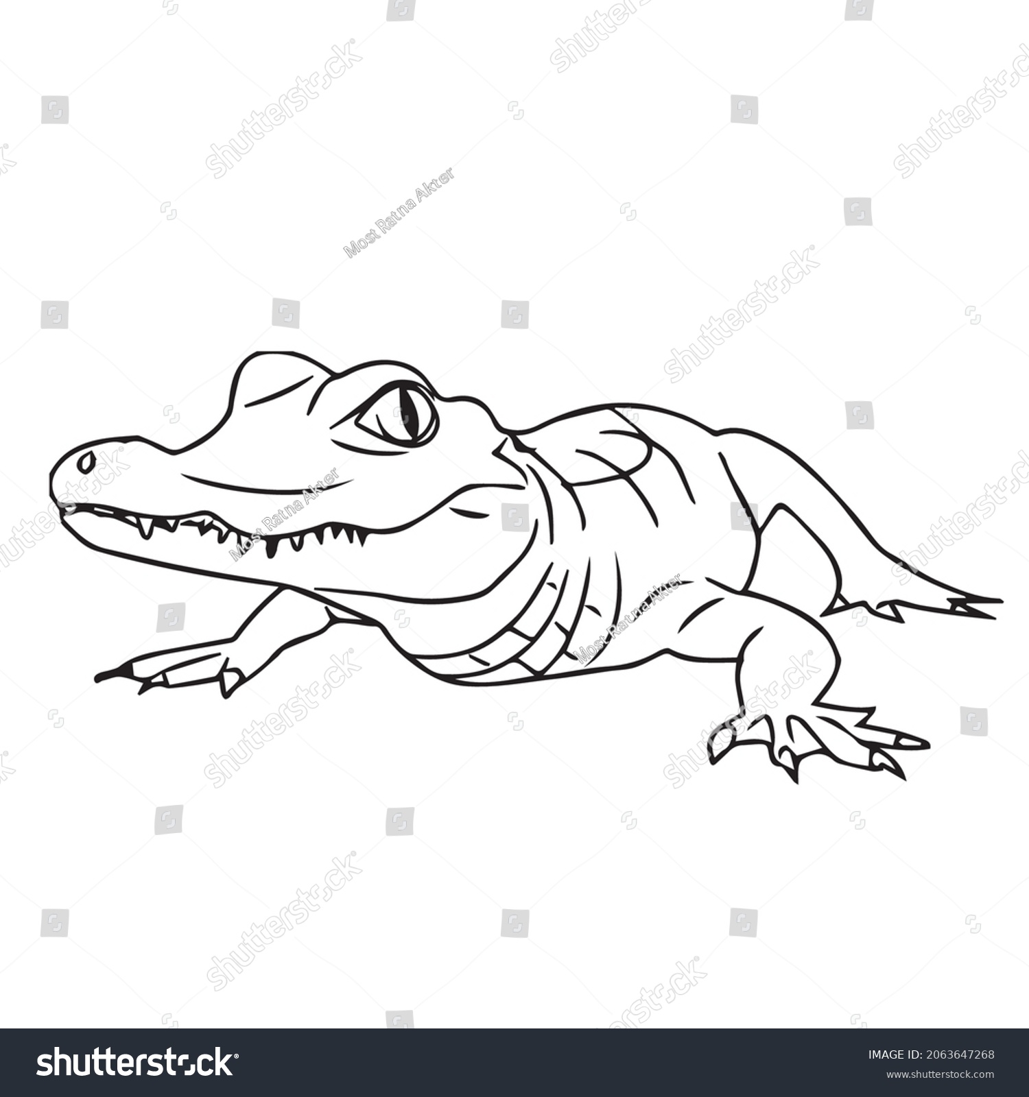 This Alligator Alligator Line Art Alligator Stock Vector (Royalty Free ...