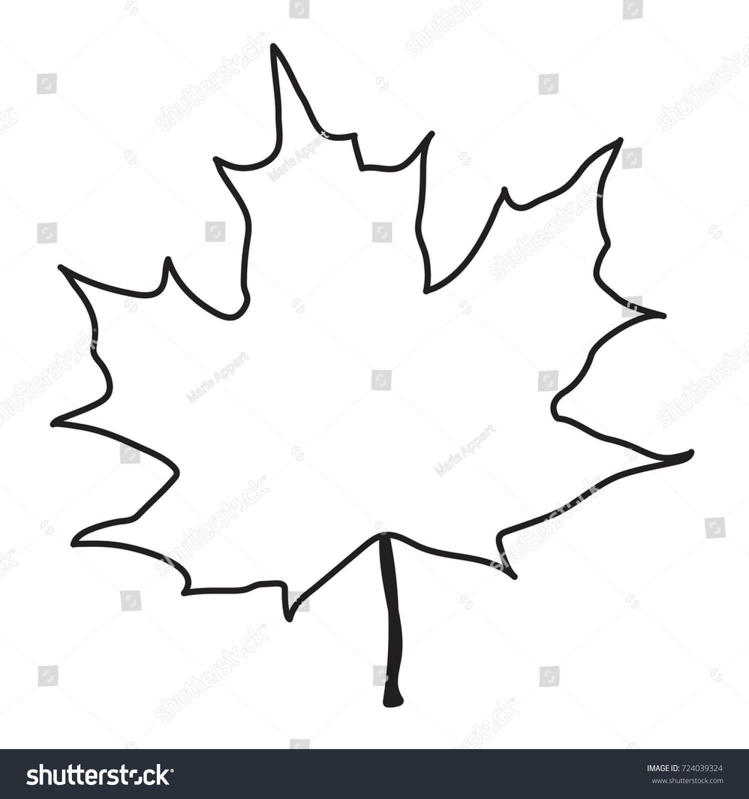 This Vector Line Drawing Maple Leaf Stock Vector 724039324 Shutterstock