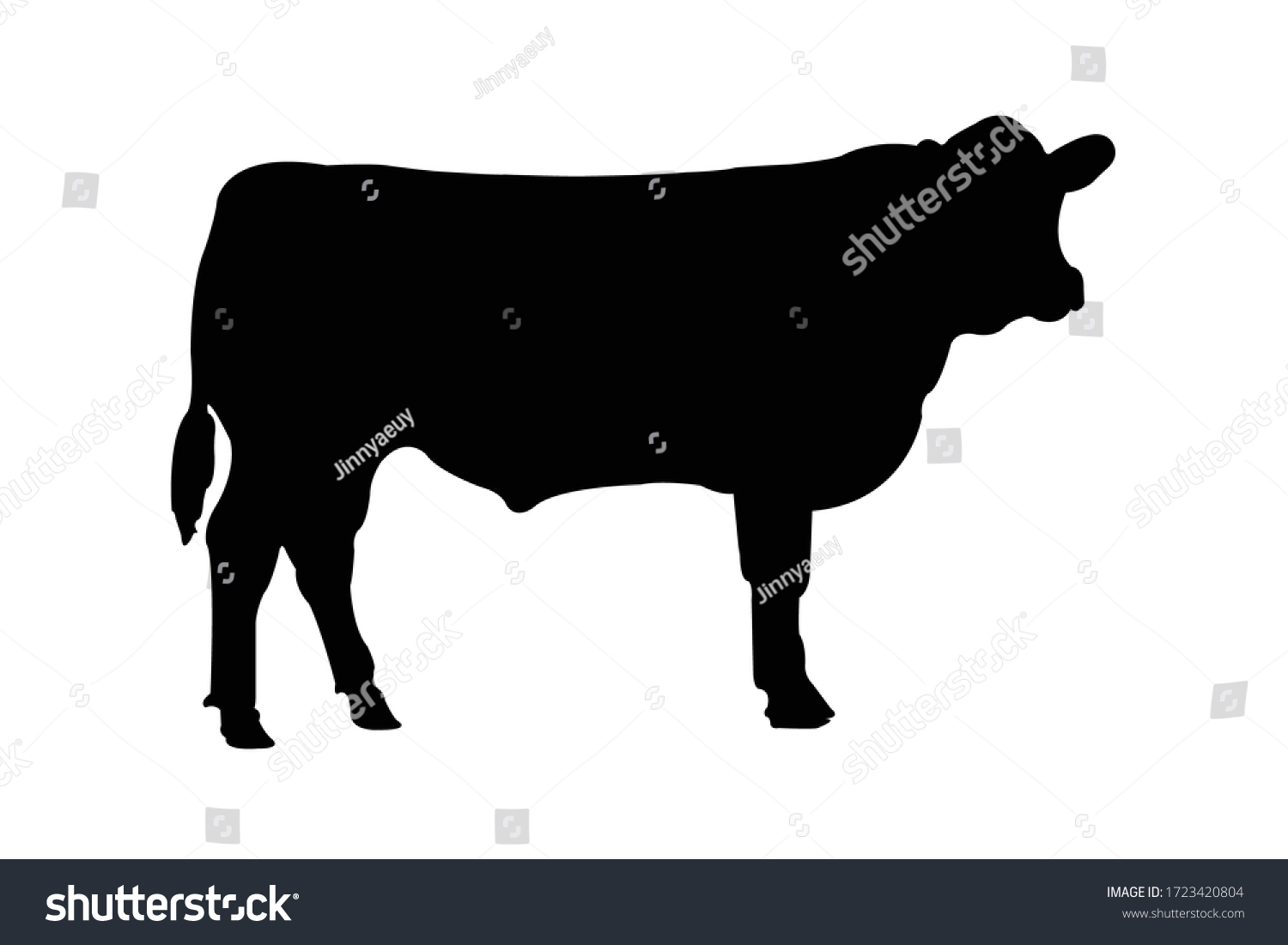 SVG of This is Angus cow in white background. svg