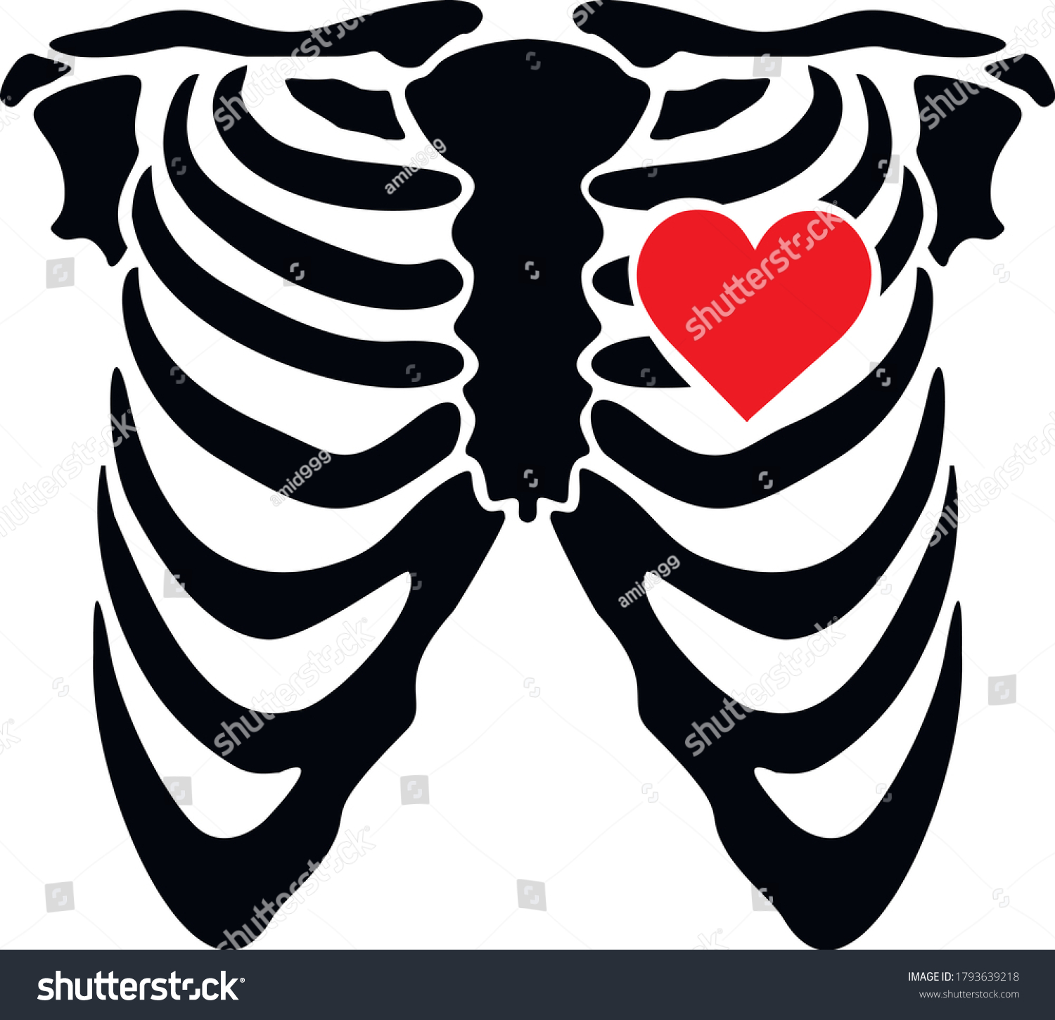 Thorax Skeleton Heart Design T Shirts Stock Vector (Royalty Free ...