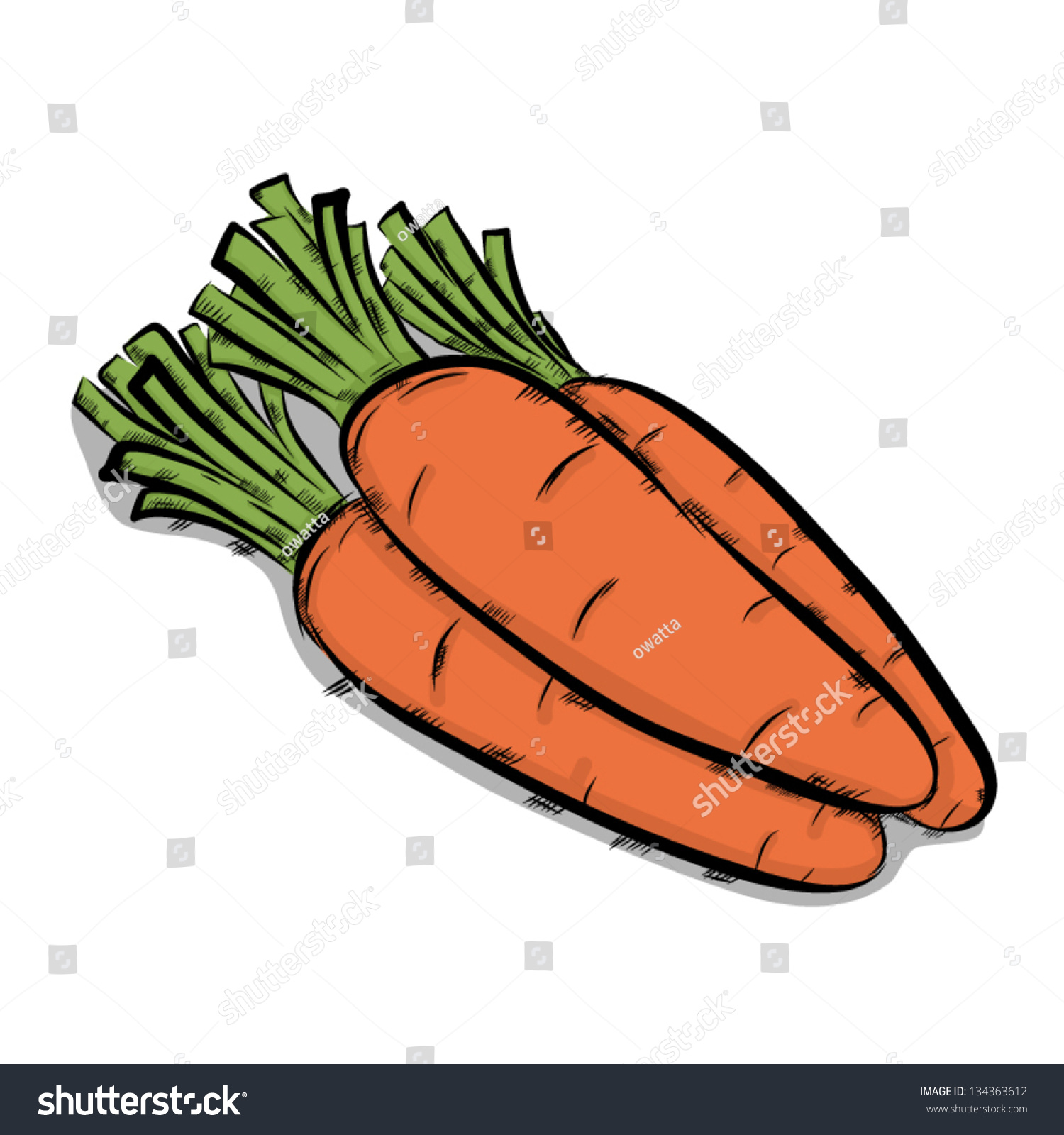 Three Carrots Vector