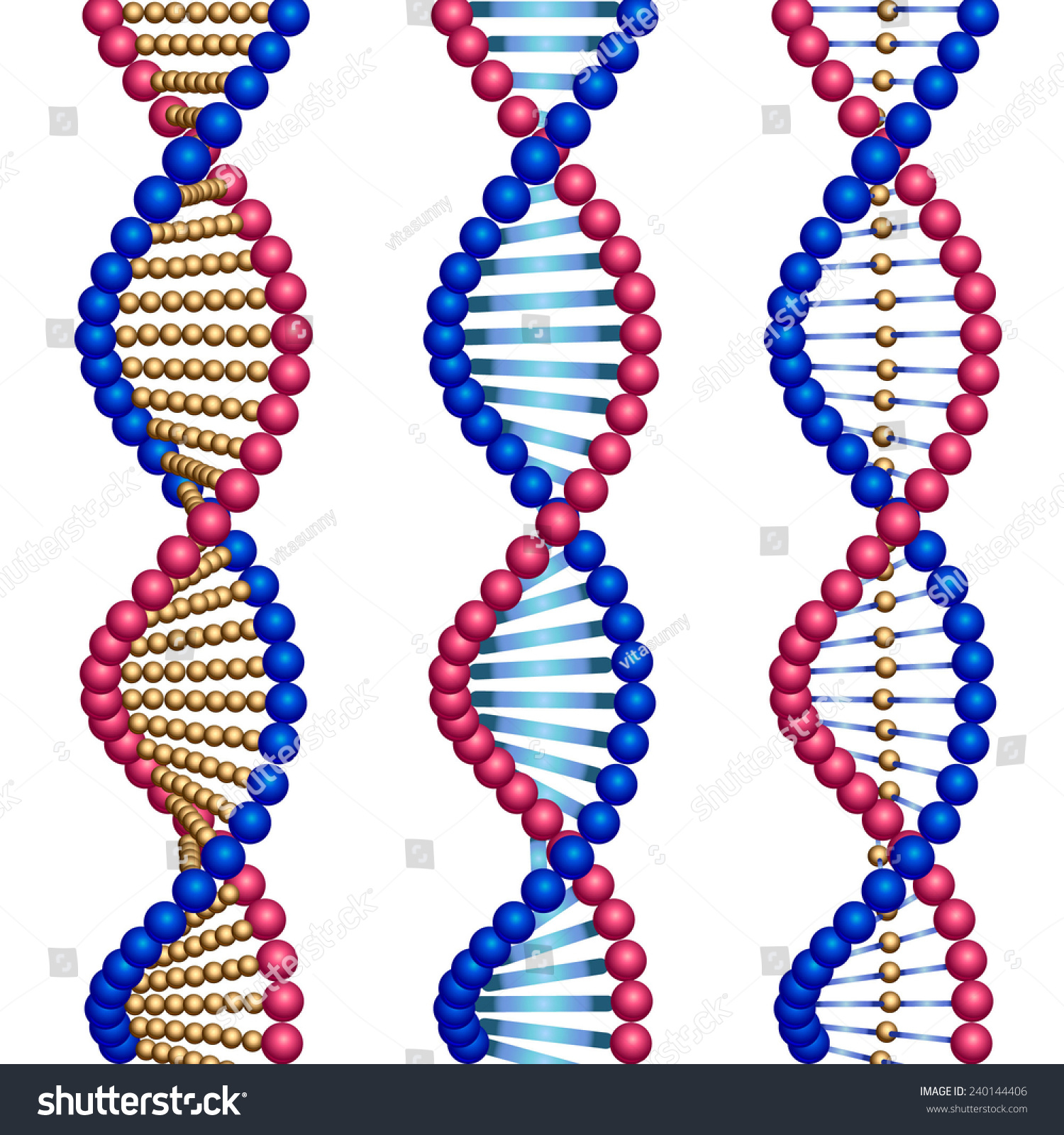 shutterstock