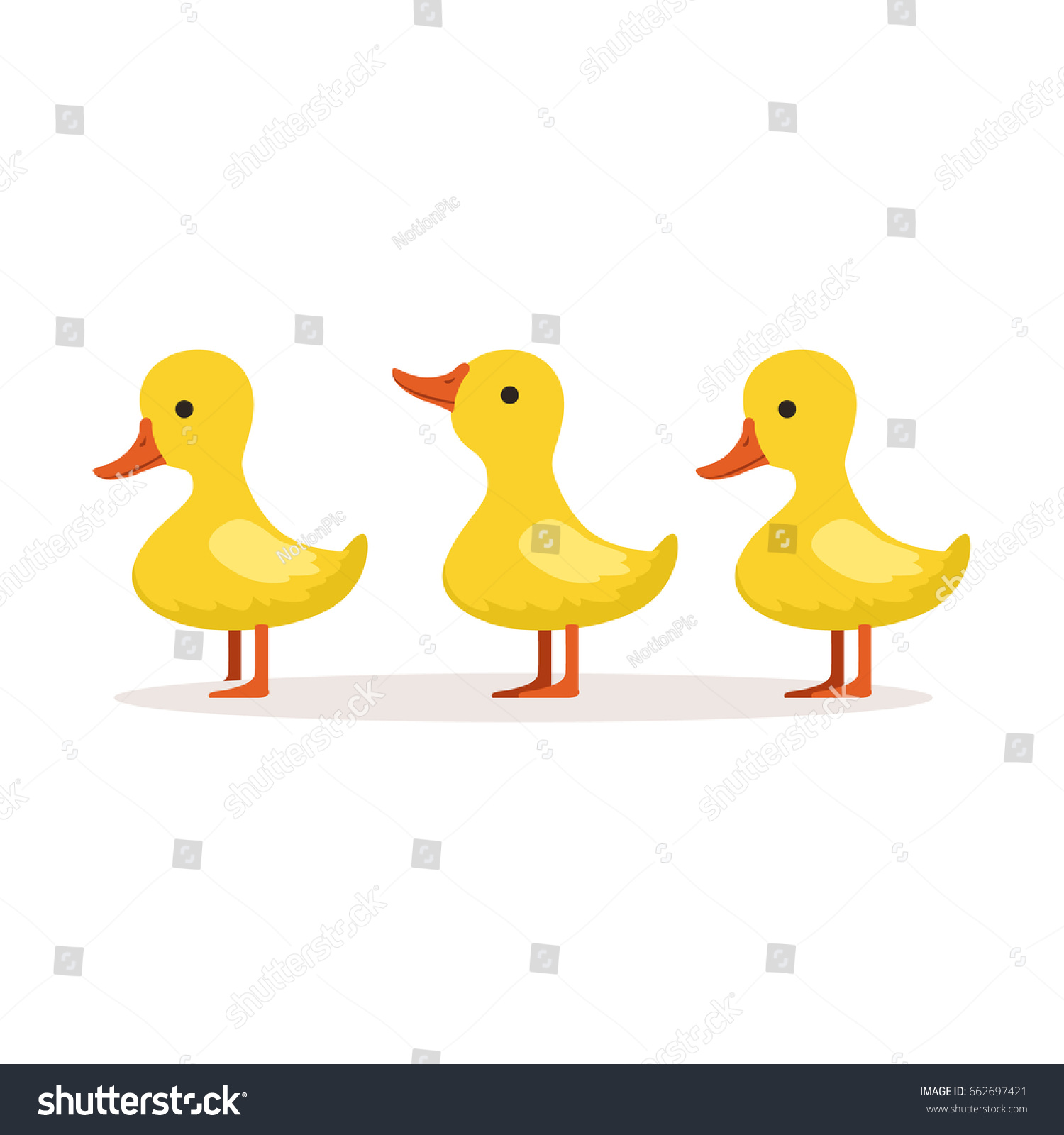 Three Cute Cartoon Ducklings Characters Standing Stock Vector Royalty Free 662697421