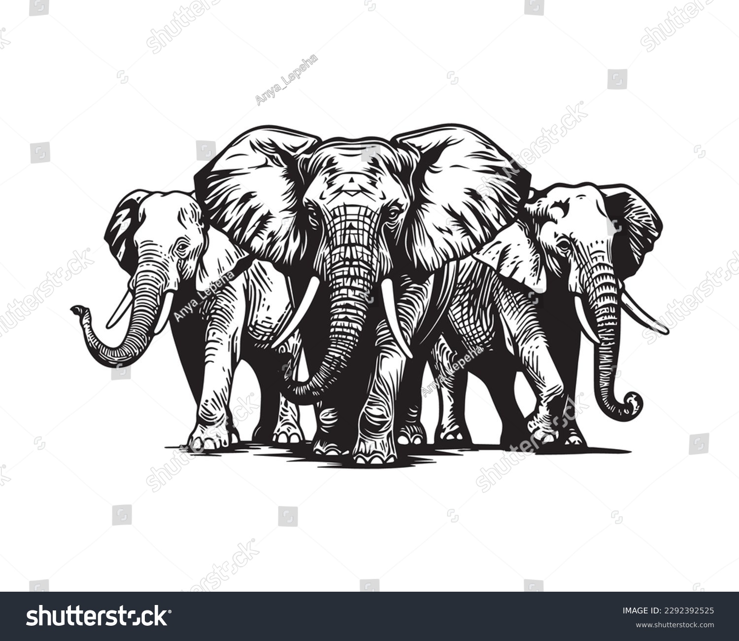 SVG of Three elephants isolated on white background, vector illustration  svg