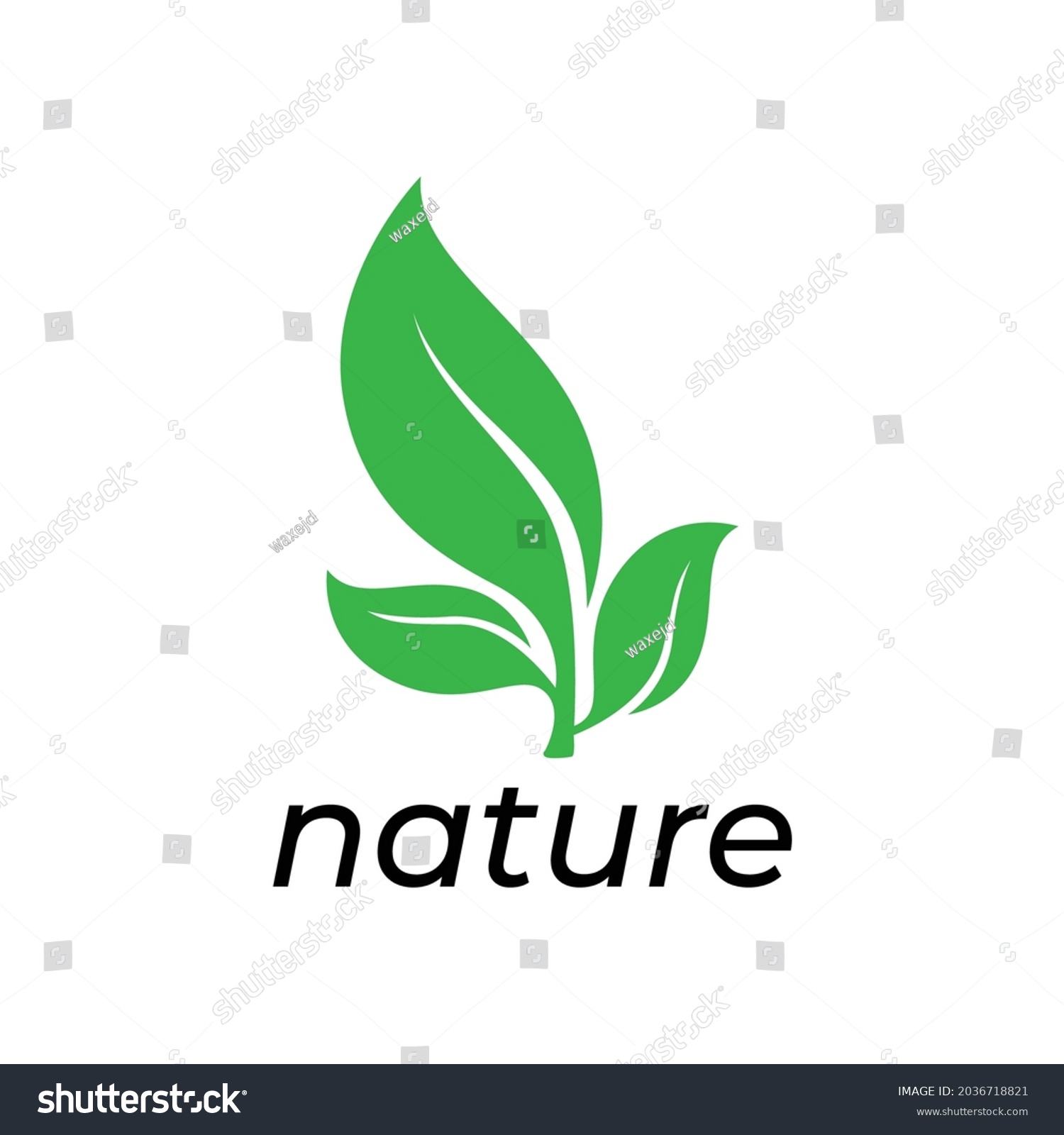 Three Green Leaves Logo Vector Stock Vector (royalty Free) 2036718821 