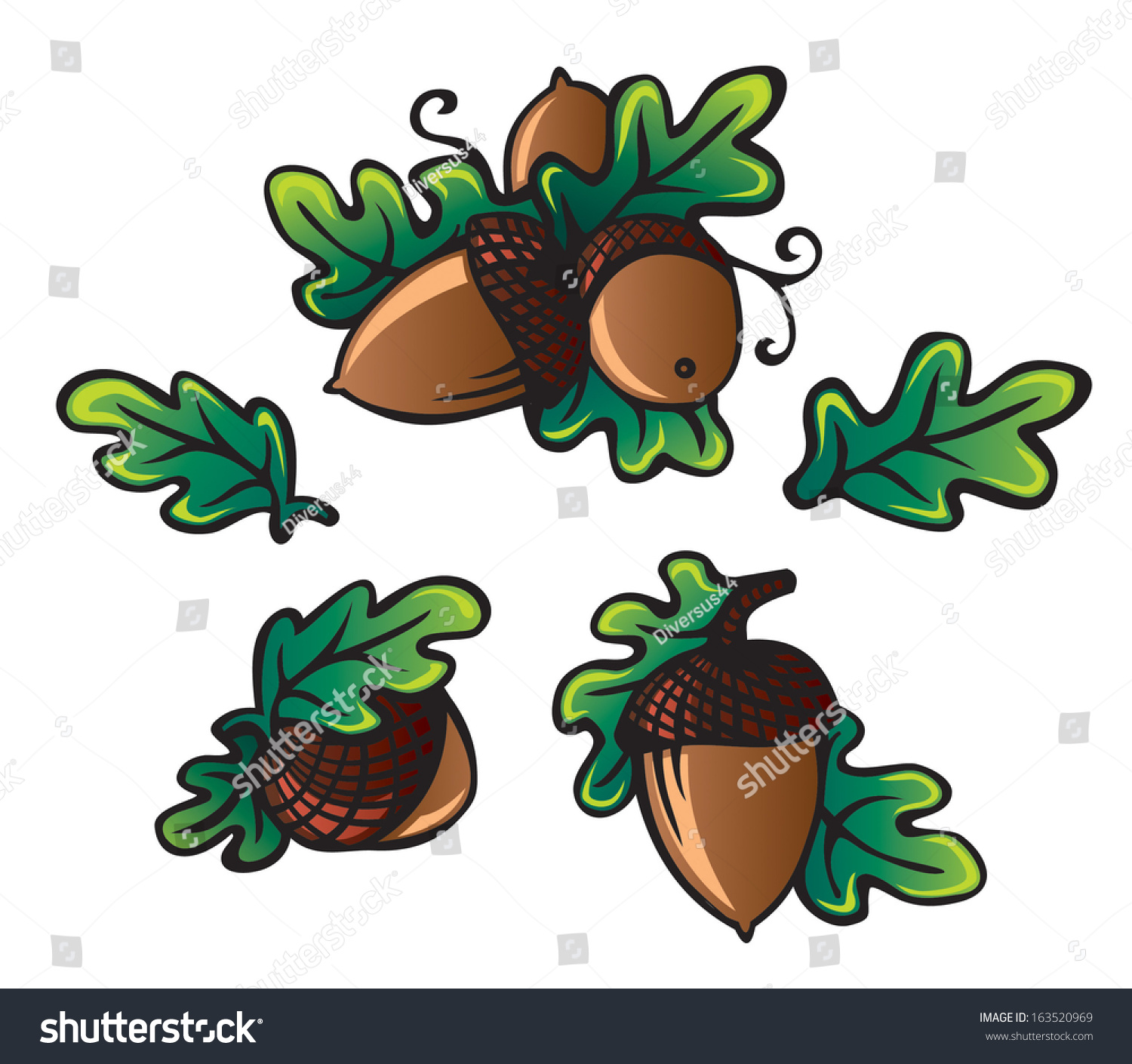 Three Painted Vector Acorns Set With Leafs, Colorful Stylize ...