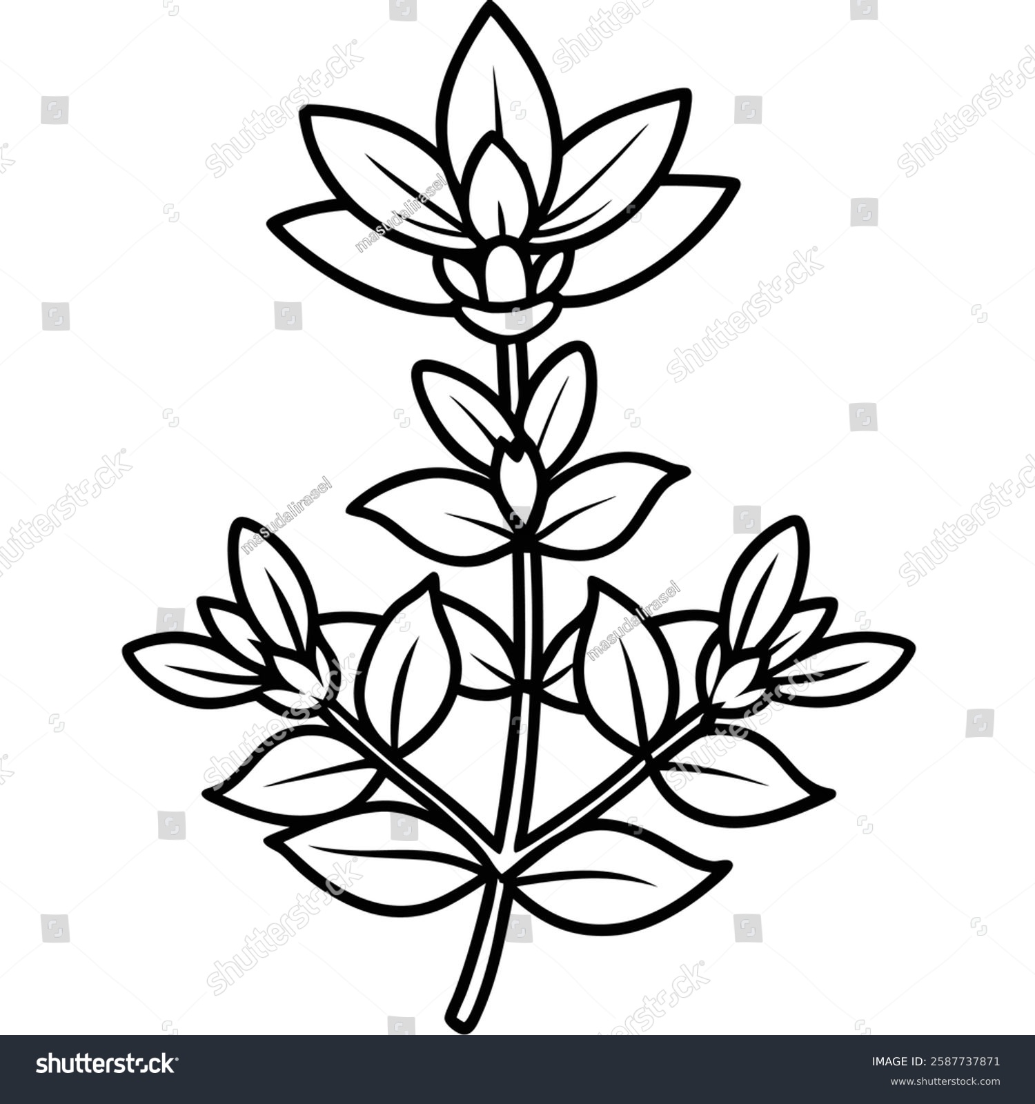 black and white flower plant outline clip art preview