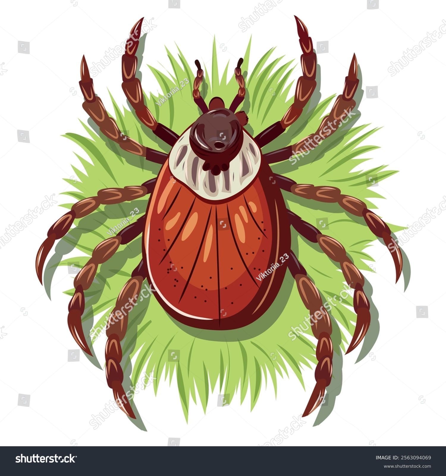 brown tick on green grass clip art preview