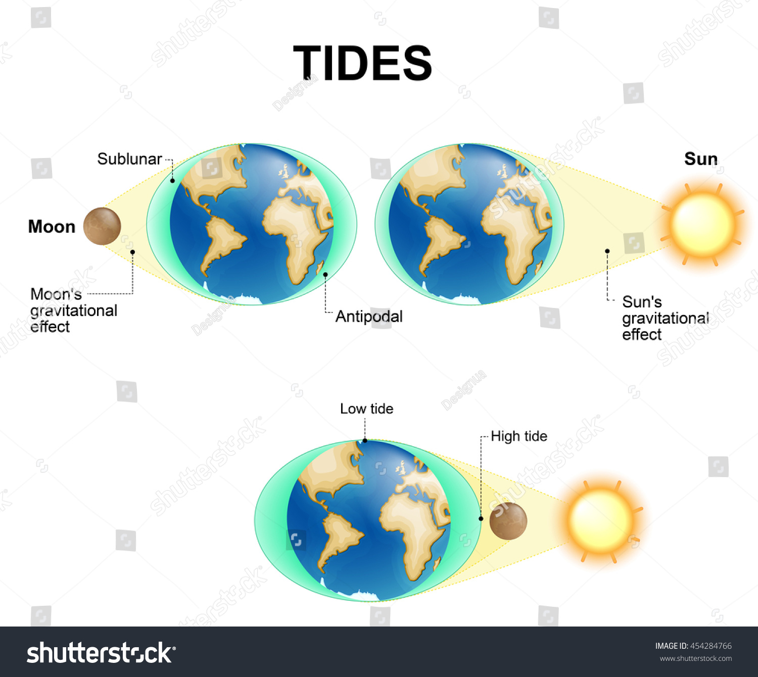 Tides Depend Where Sun Moon Relative Stock Vector (royalty Free) 454284766