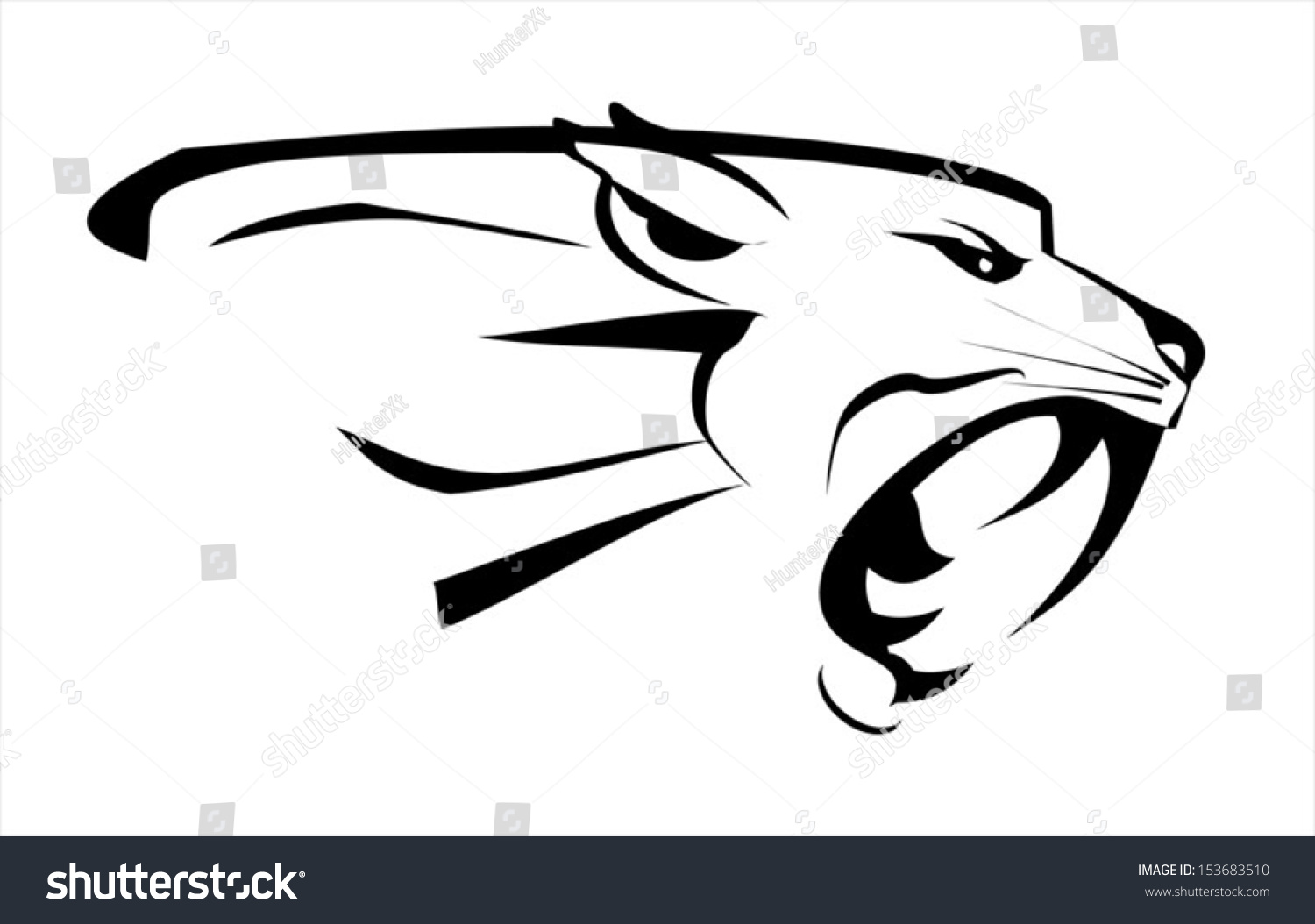 Tiger Head Roaring Fang Face Stock Vector 153683510 - Shutterstock