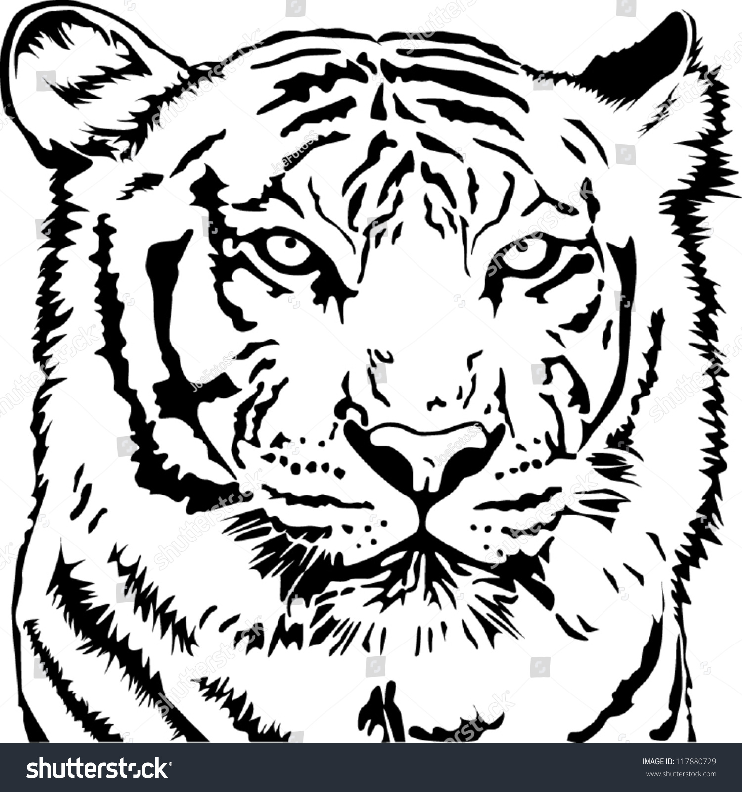 Tiger Head, Vector - 117880729 : Shutterstock