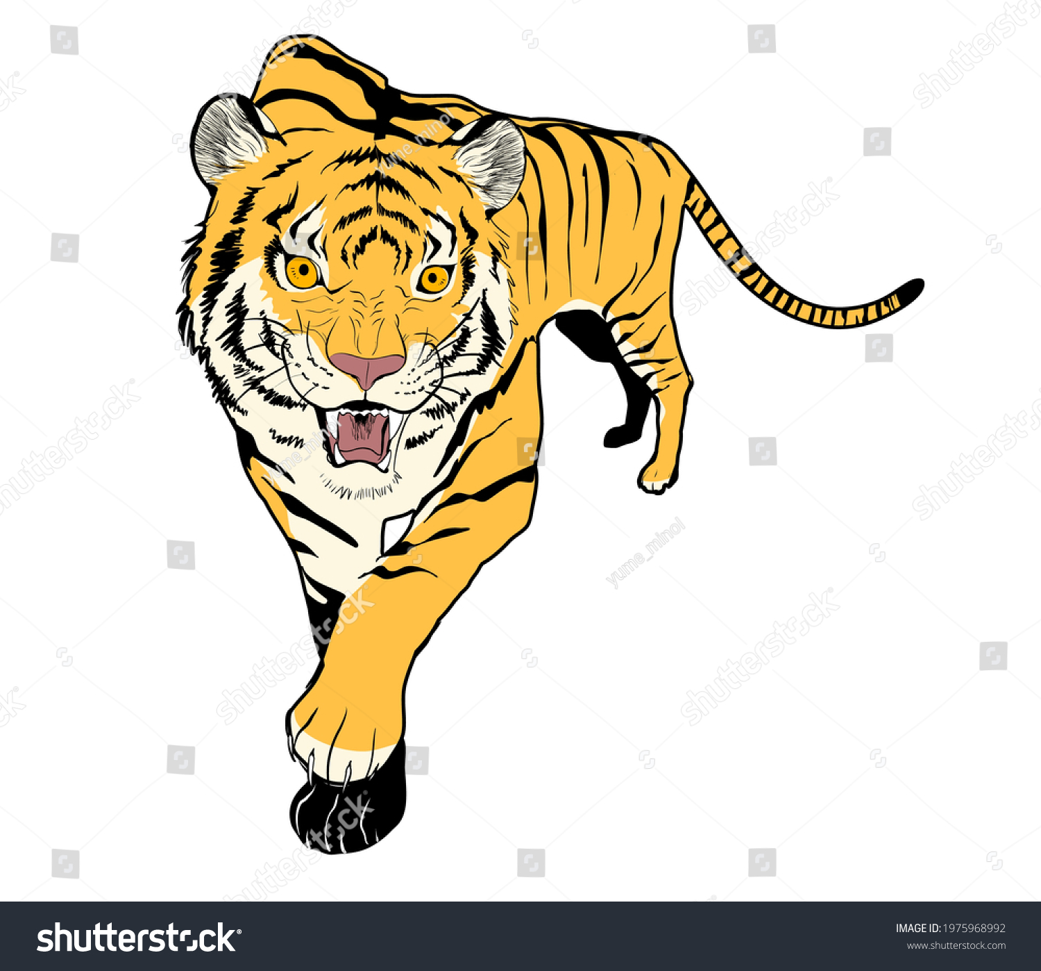 Tiger Illustration Color Barking Front Stock Vector (Royalty Free ...